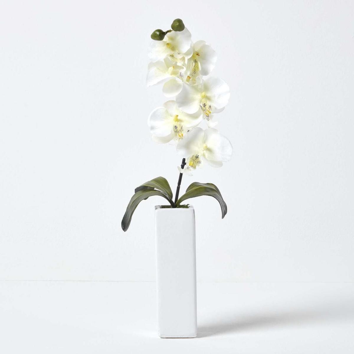 Homescapes Set of 2 Artificial Pink  Cream Orchids in Thin Cream Vases, 43 cm - Pink and Cream – image 3