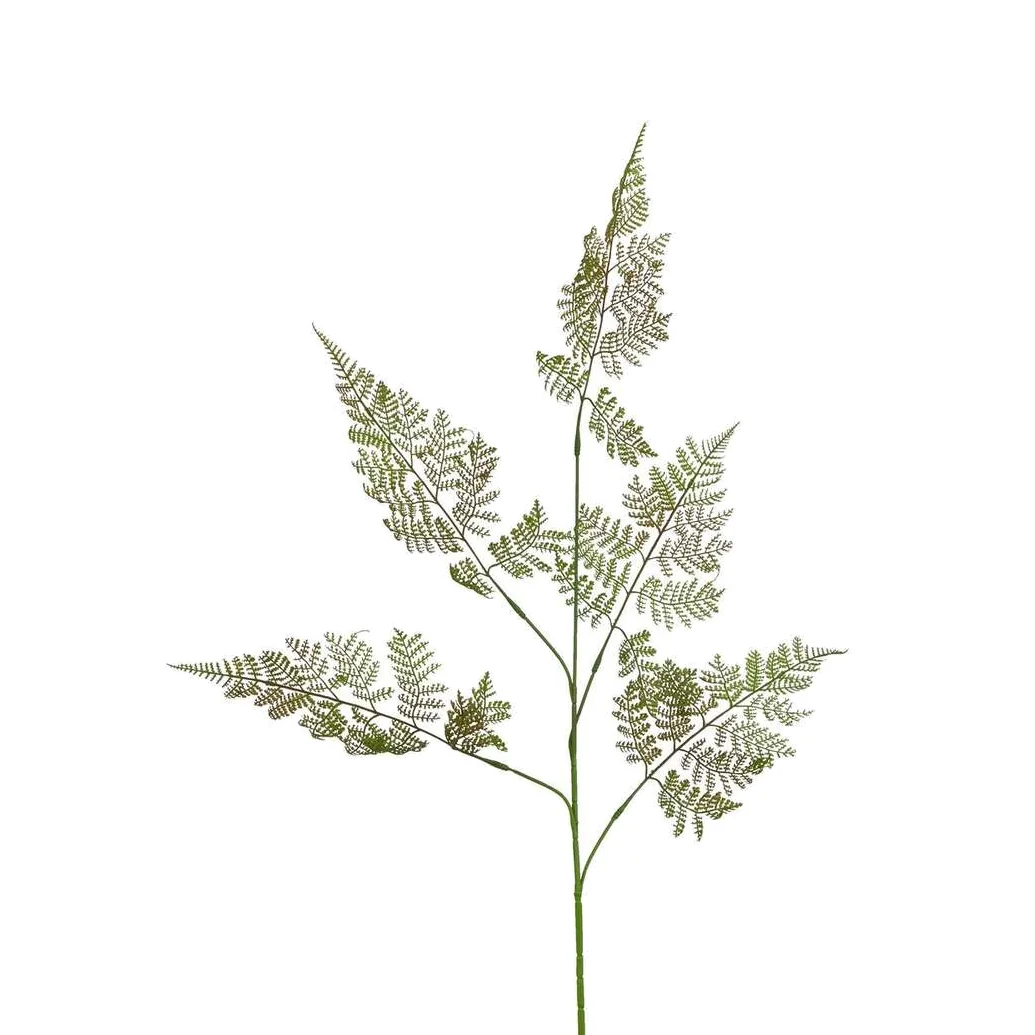 The Natural Garden Collection Large Bracken Fern Spray Artificial - White – image 1