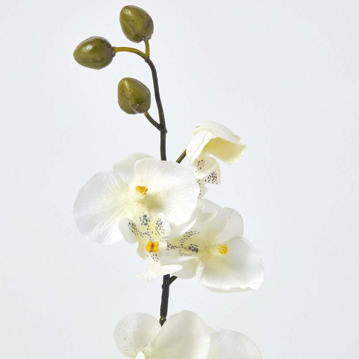 Homescapes White Artificial Orchid Flowers in Pot - White – image 3