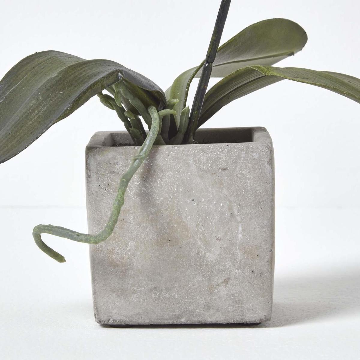 Homescapes White Artificial Orchid Flowers in Pot - White – image 4