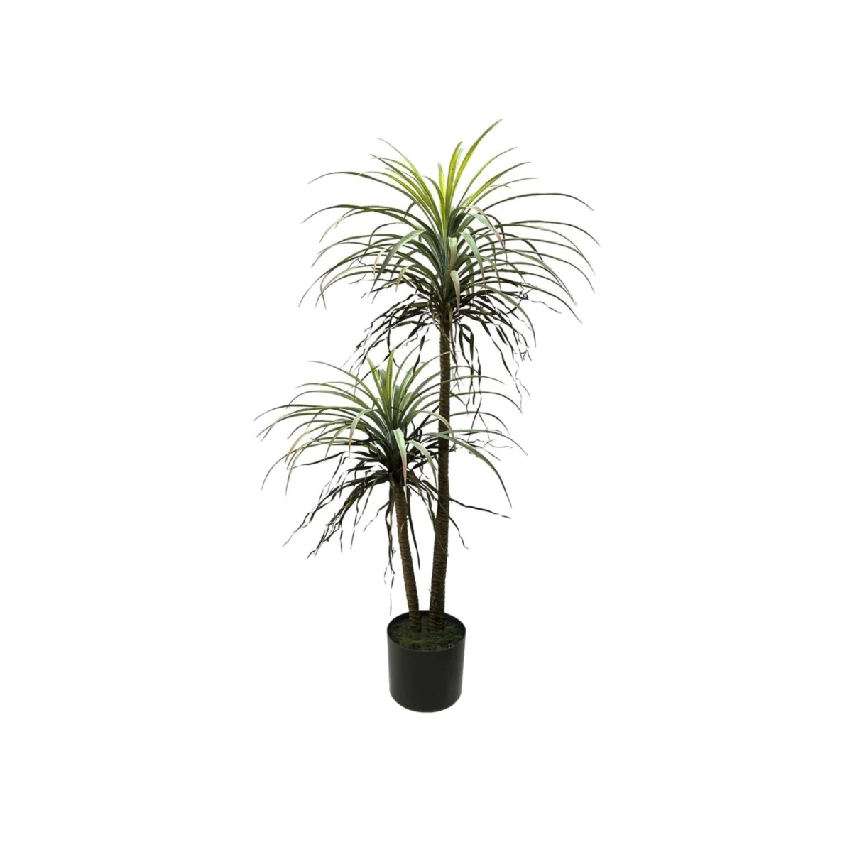 Botanica Yucca in pot Green Artificial Flowers - Green