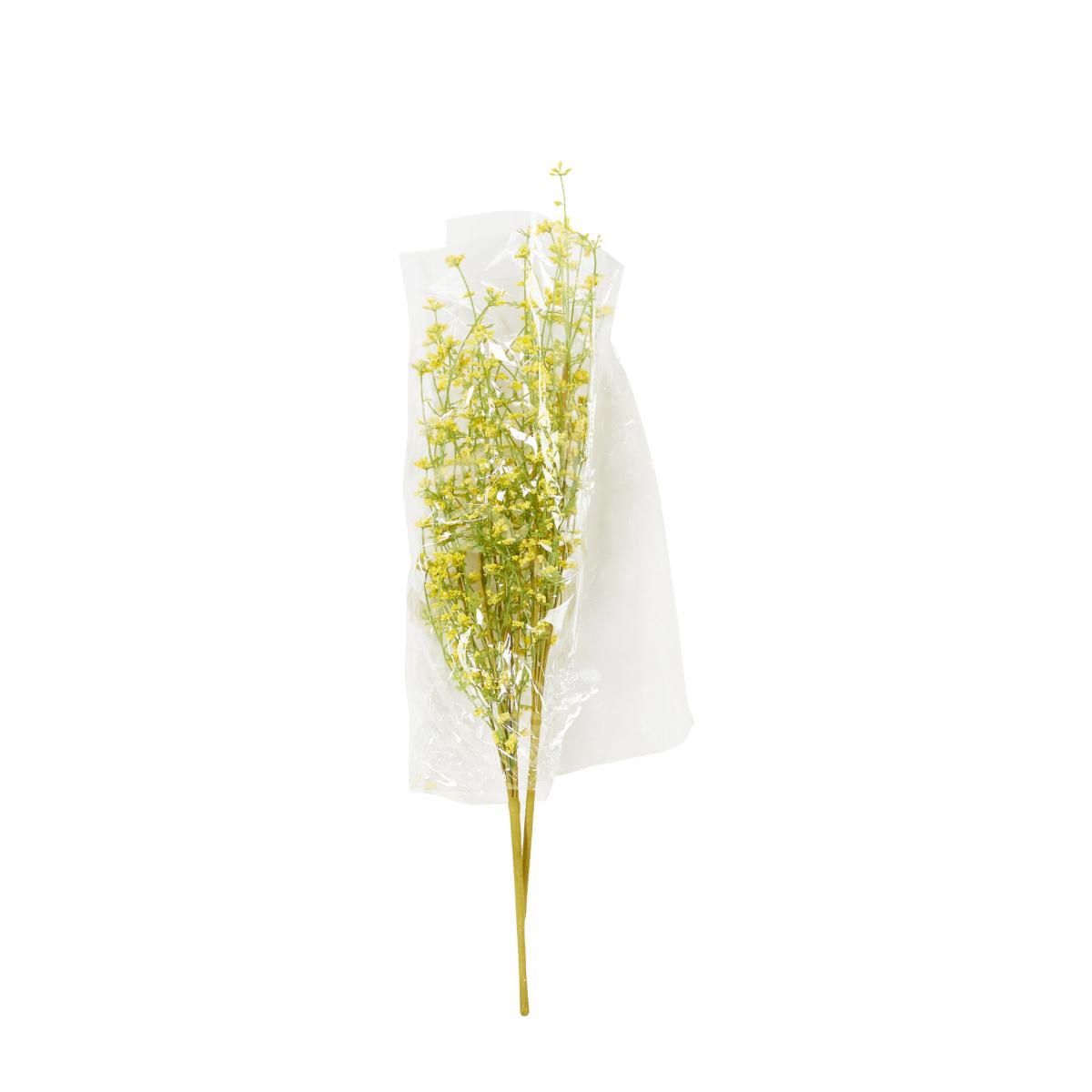 Spring Gypsophila Spray
