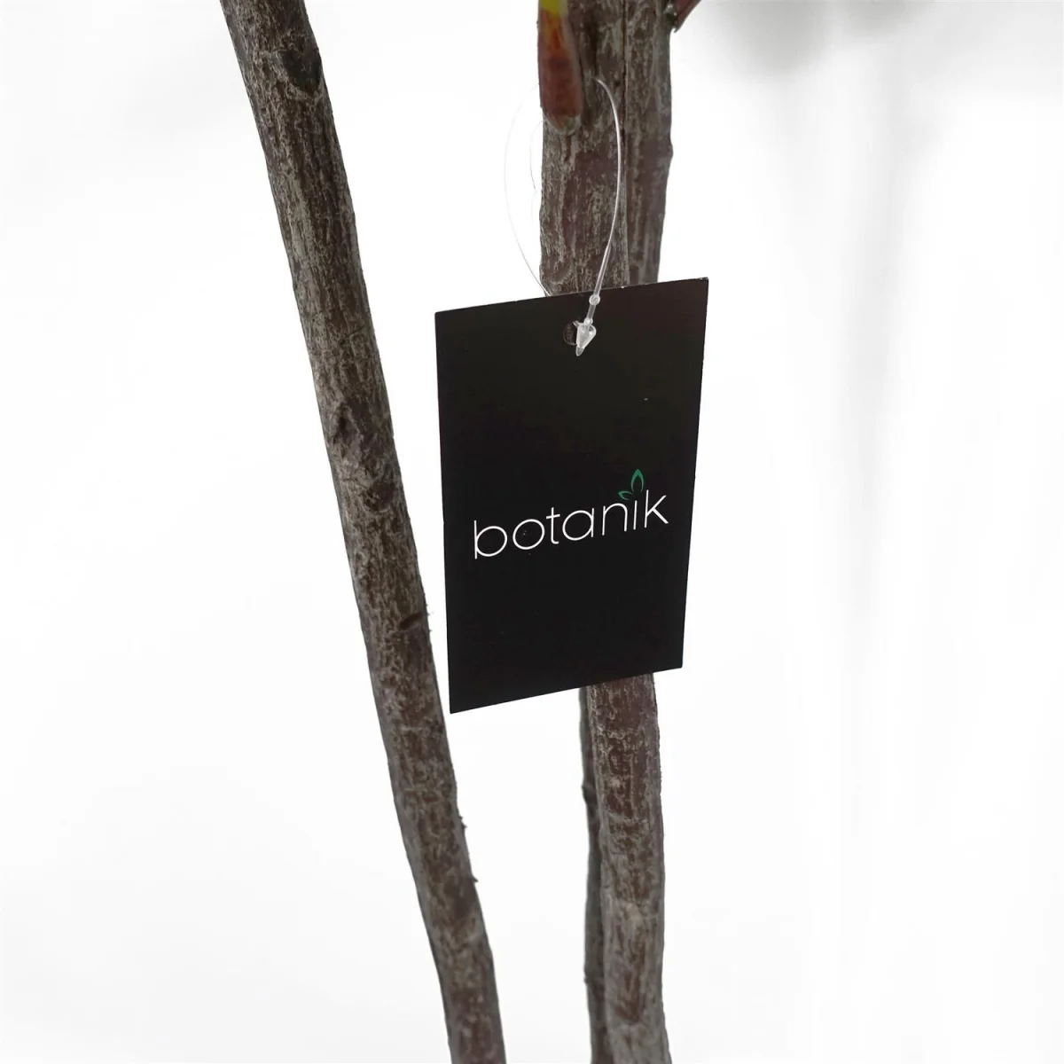 Leaf Design UK Artificial Plant Fiddle Fig Tree  Plant Black Plastic Pot - 150cm Premium Fig Leaf Tree / 150cm / 45cm – image 3