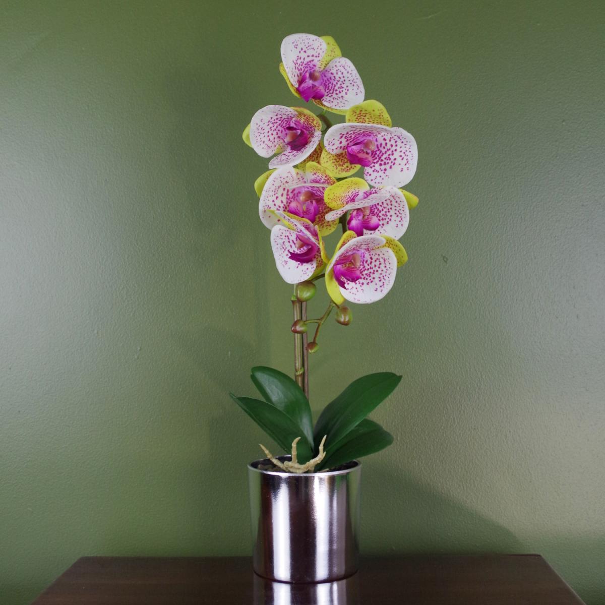 Artificial Orchid Harlequin Pink Silver Pot - Pink