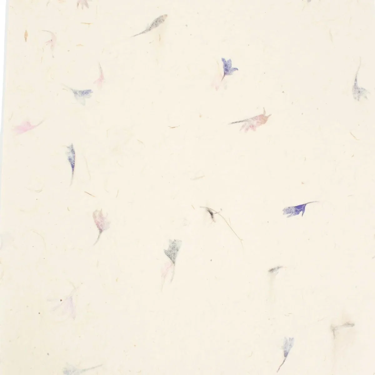 A4 Lokta Craft Paper 20 Sheet Pack Cornflower Petal - Neutral – image 1