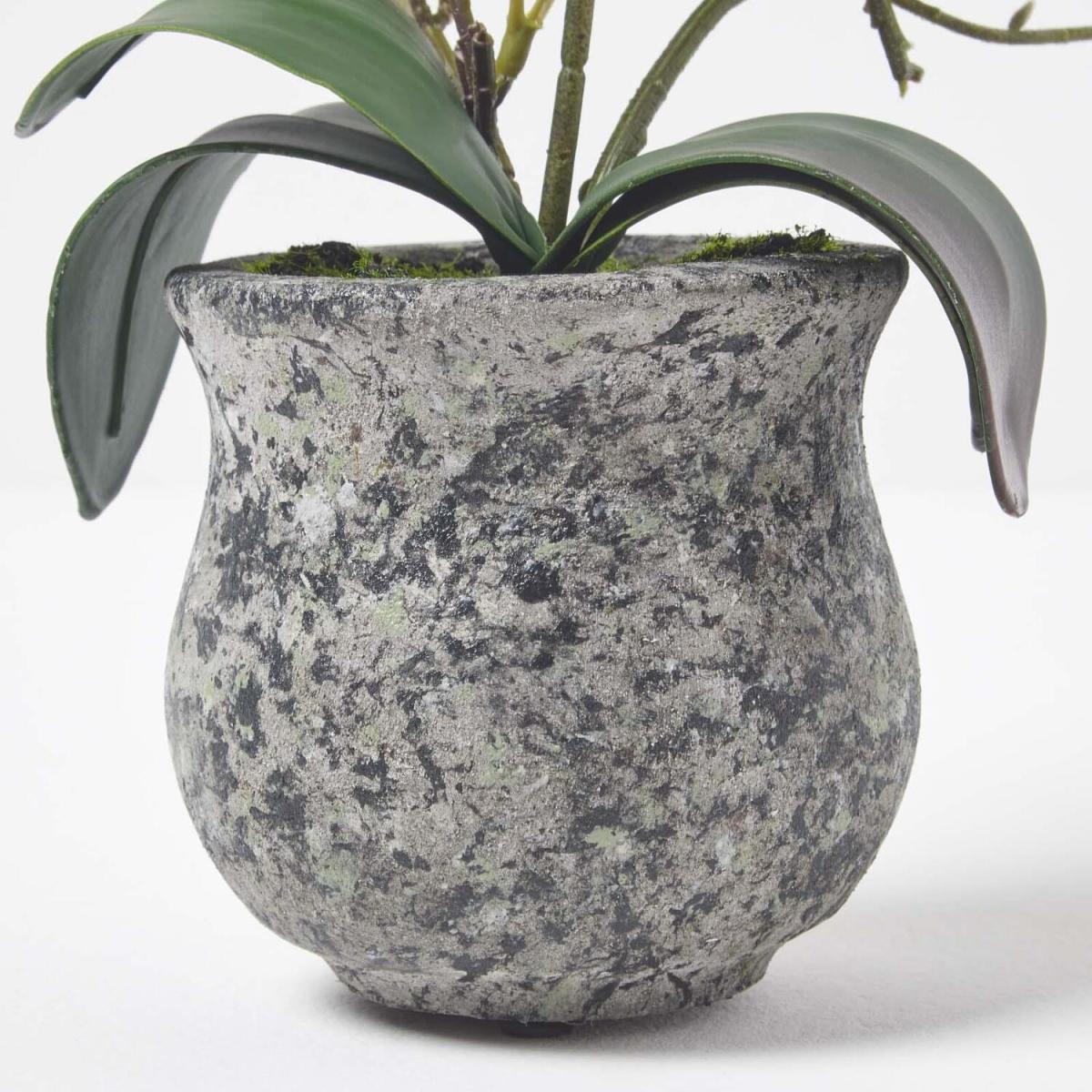 Homescapes 32cm Lifelike Artificial White Orchid in Grey Cement Pot - White – image 2