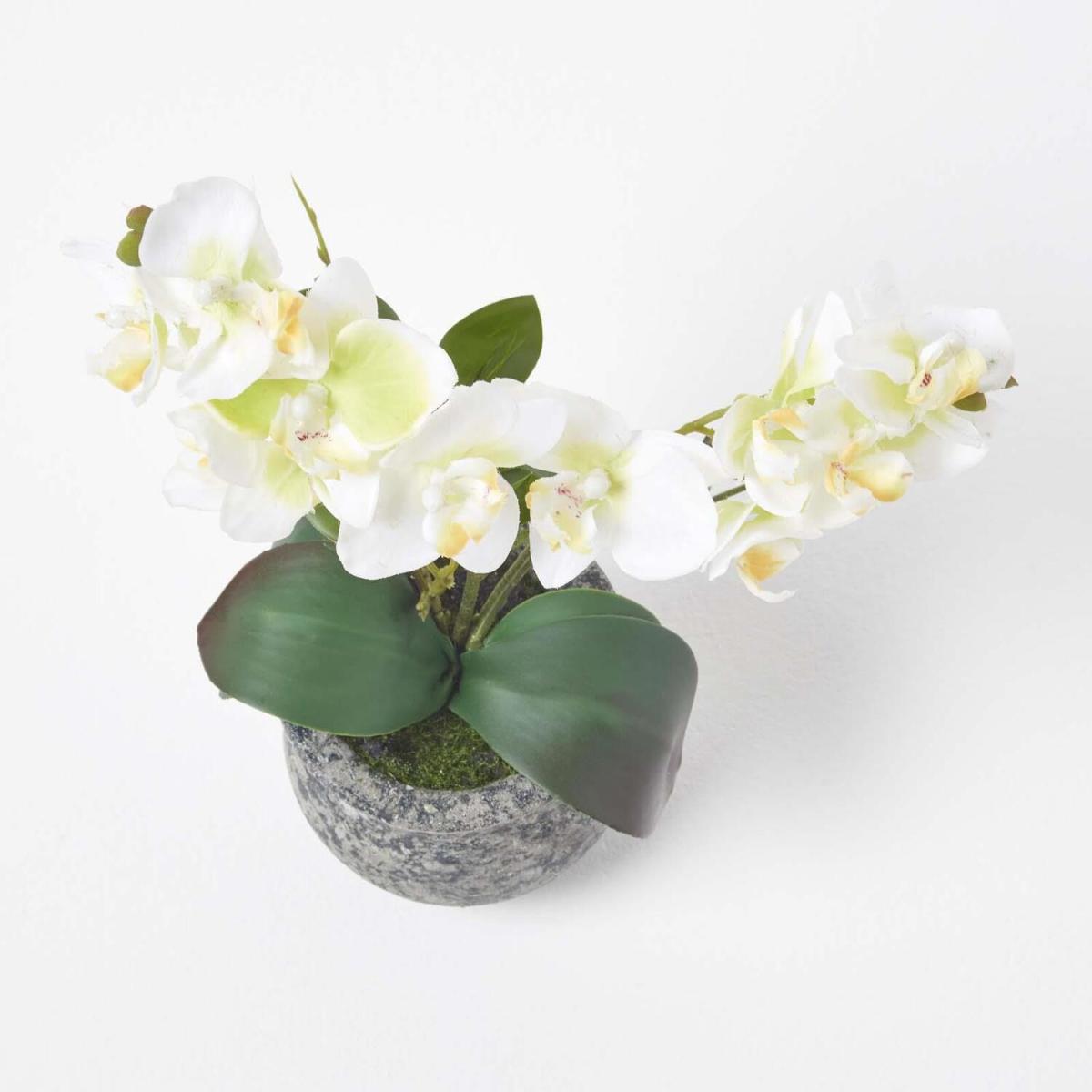 Homescapes 32cm Lifelike Artificial White Orchid in Grey Cement Pot - White – image 3