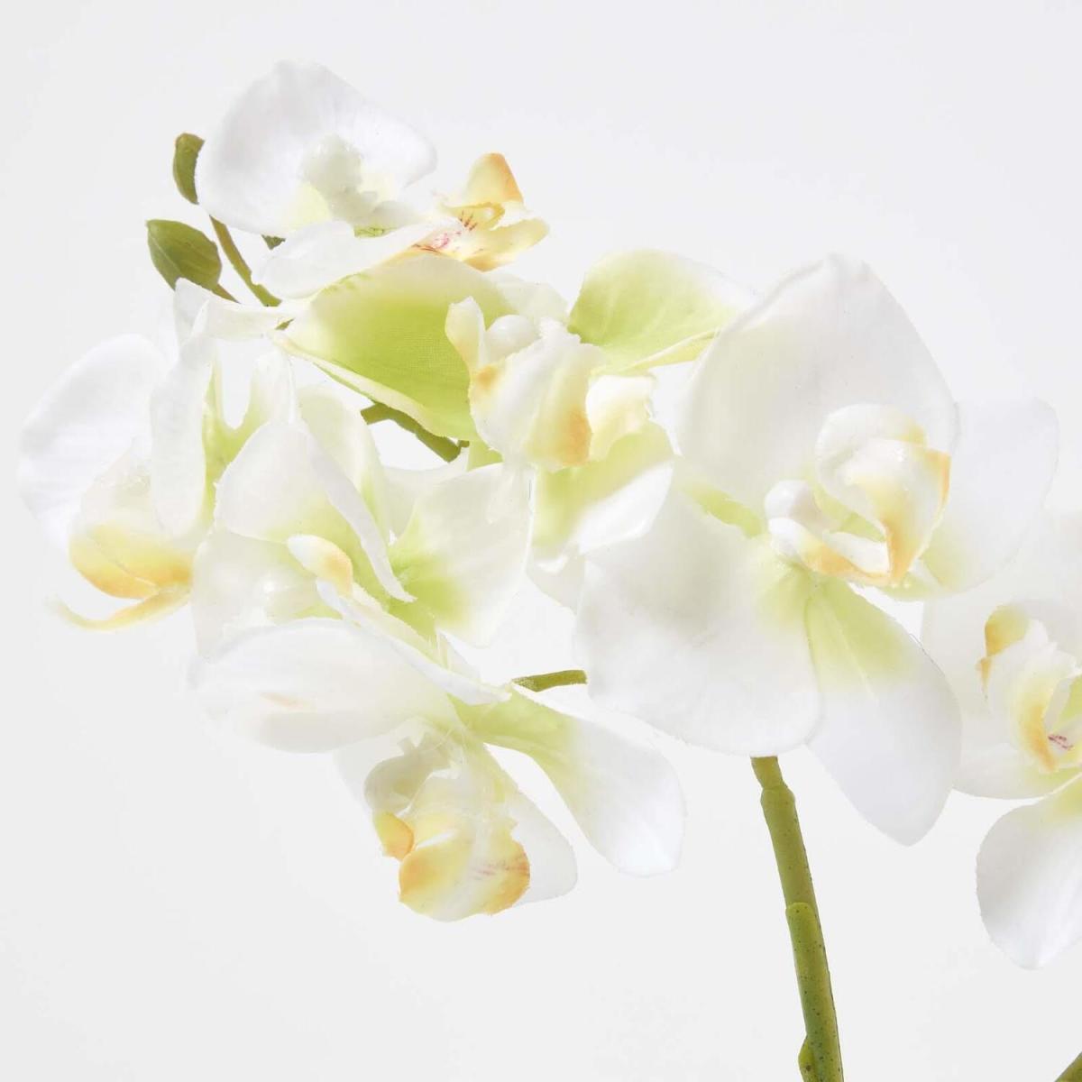 Homescapes 32cm Lifelike Artificial White Orchid in Grey Cement Pot - White – image 5