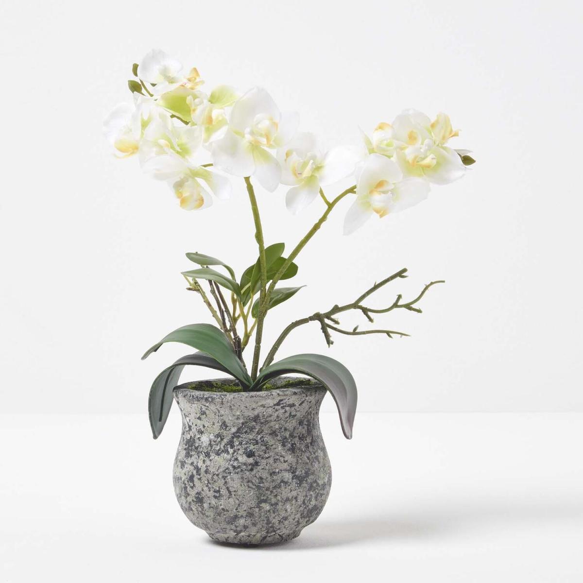 Homescapes 32cm Lifelike Artificial White Orchid in Grey Cement Pot - White – image 1