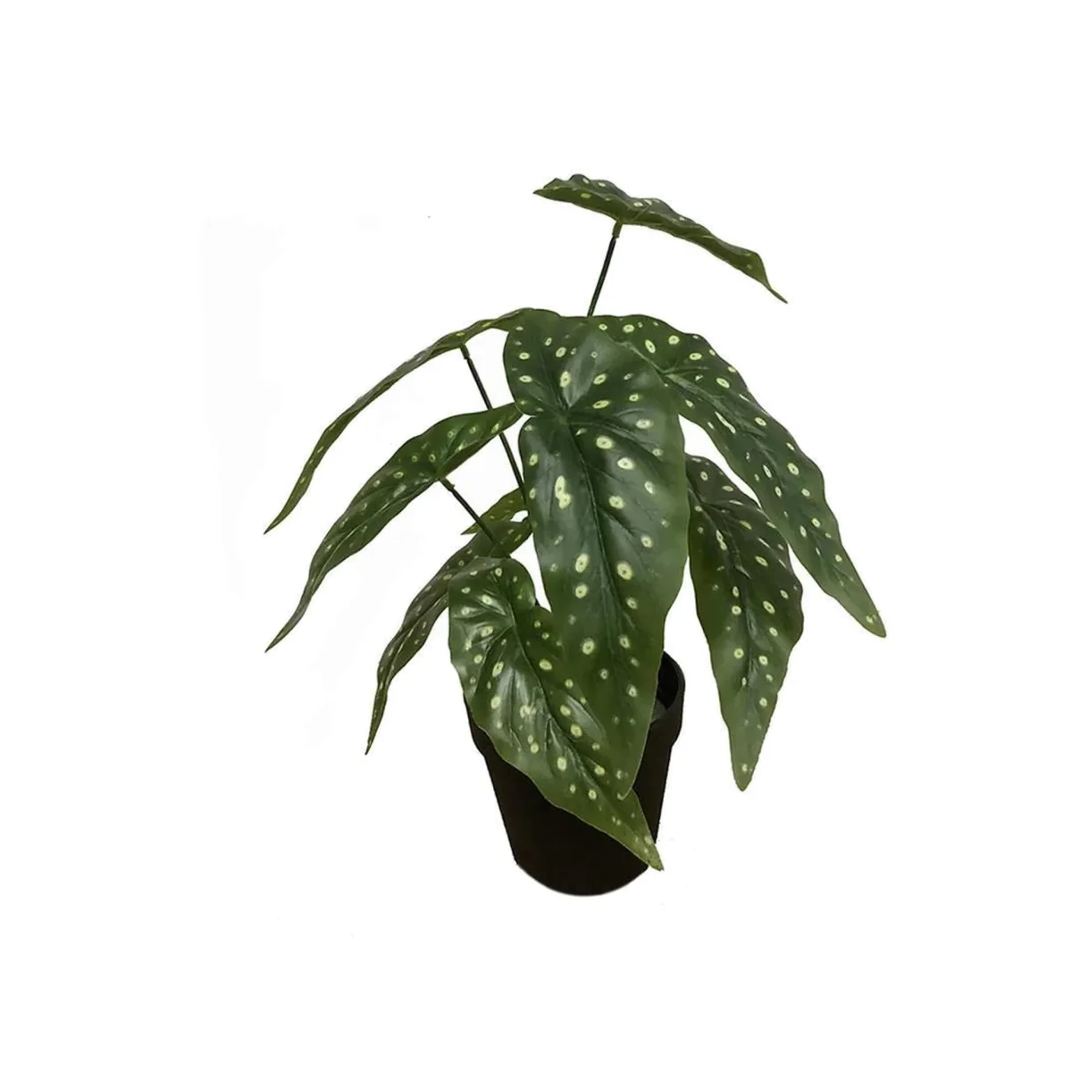 Office Artificial Plants, Desktop Realistic