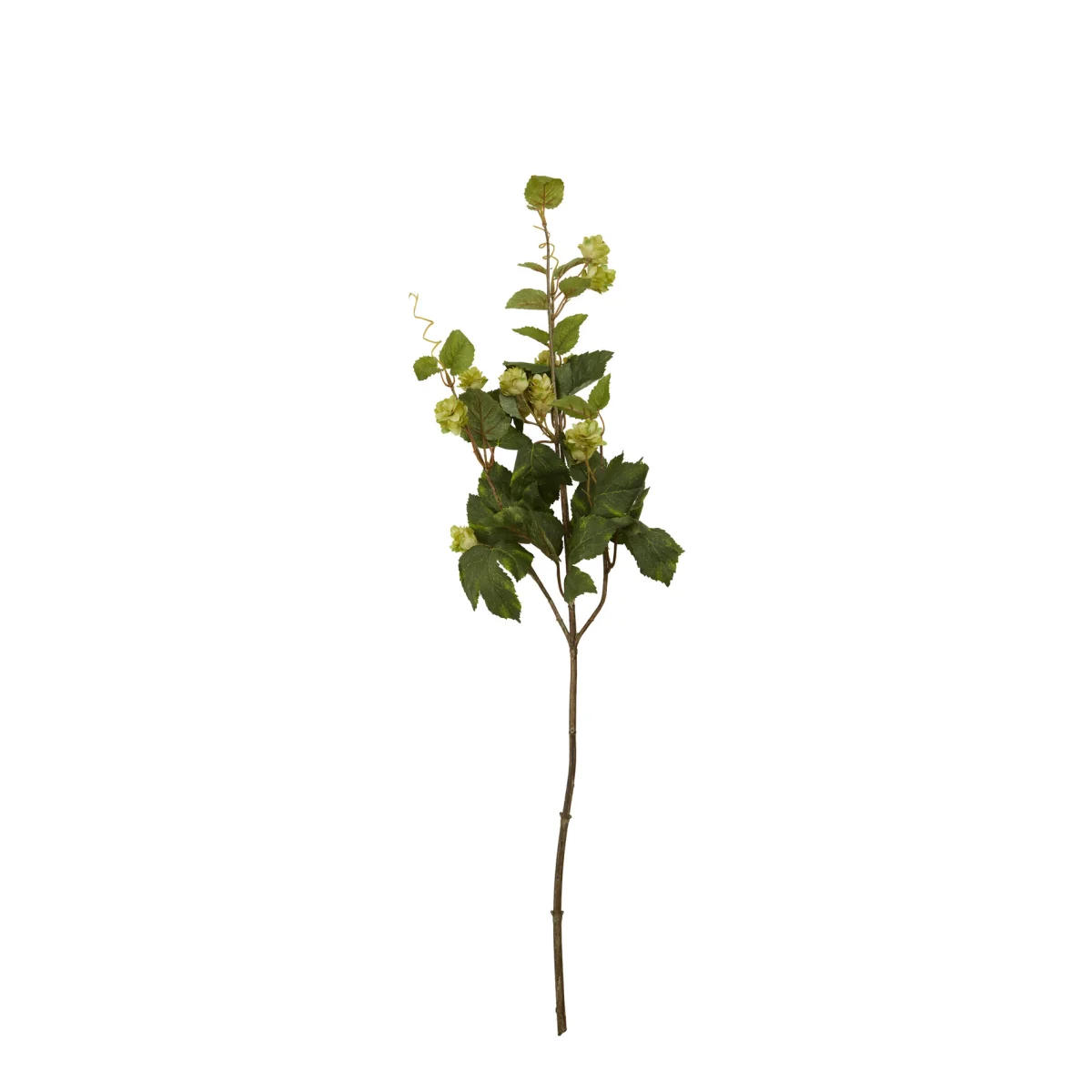 Fiori Green Hop Flower Spray Stem - Green – image 1