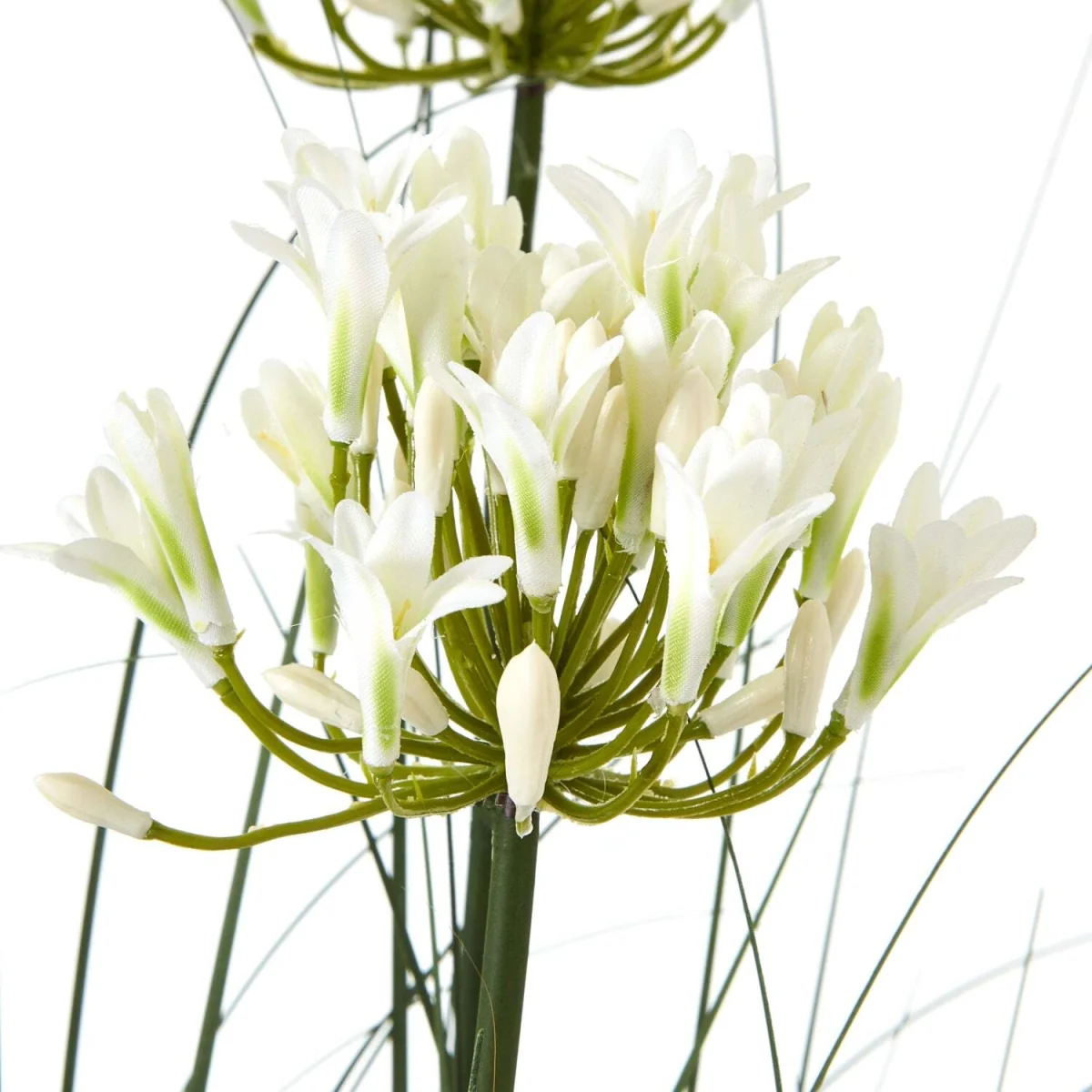 Wyld Haus 120cm White Agapanthus Artificial Plant in Black Pot - White – image 4