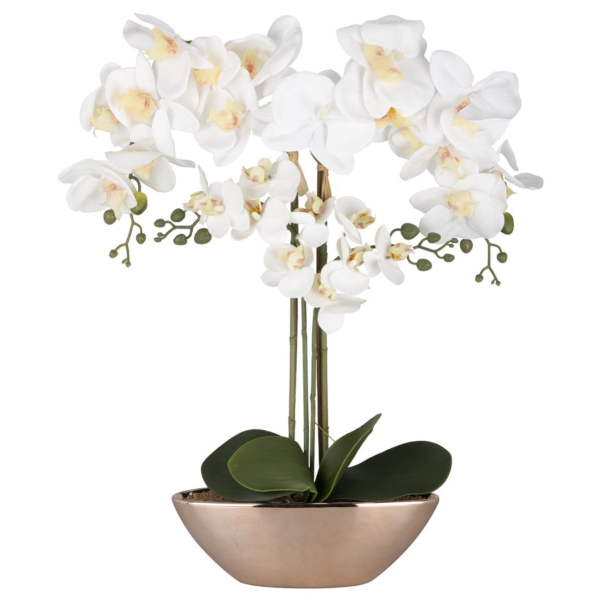 Elegant Orchid In Rose Gold Pot – image 2