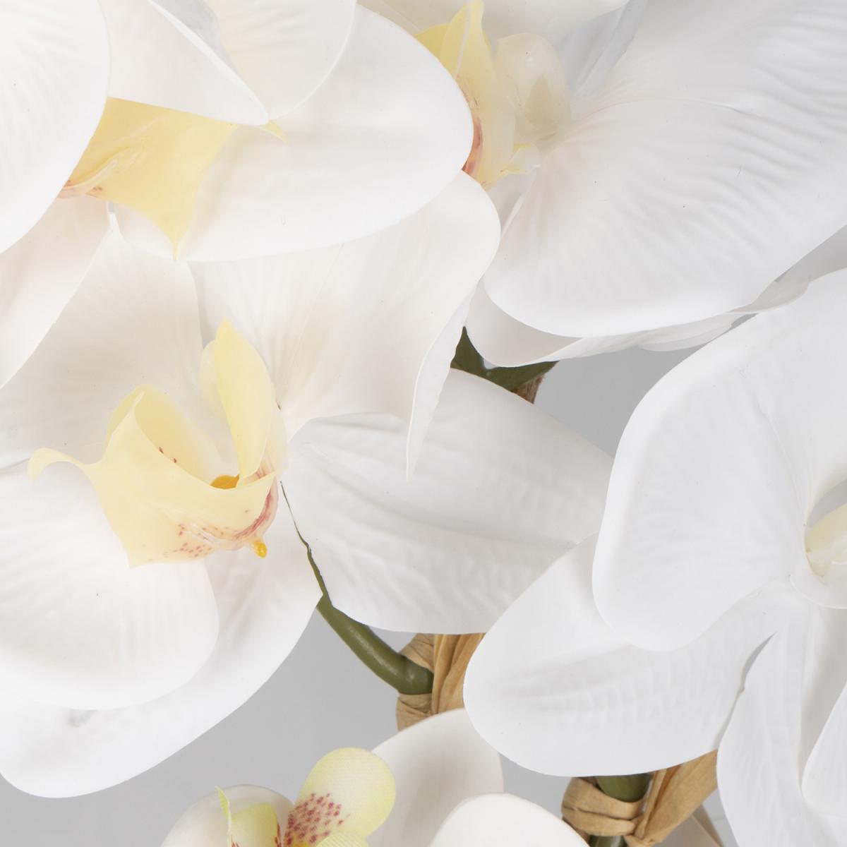 Elegant Orchid In Rose Gold Pot – image 3