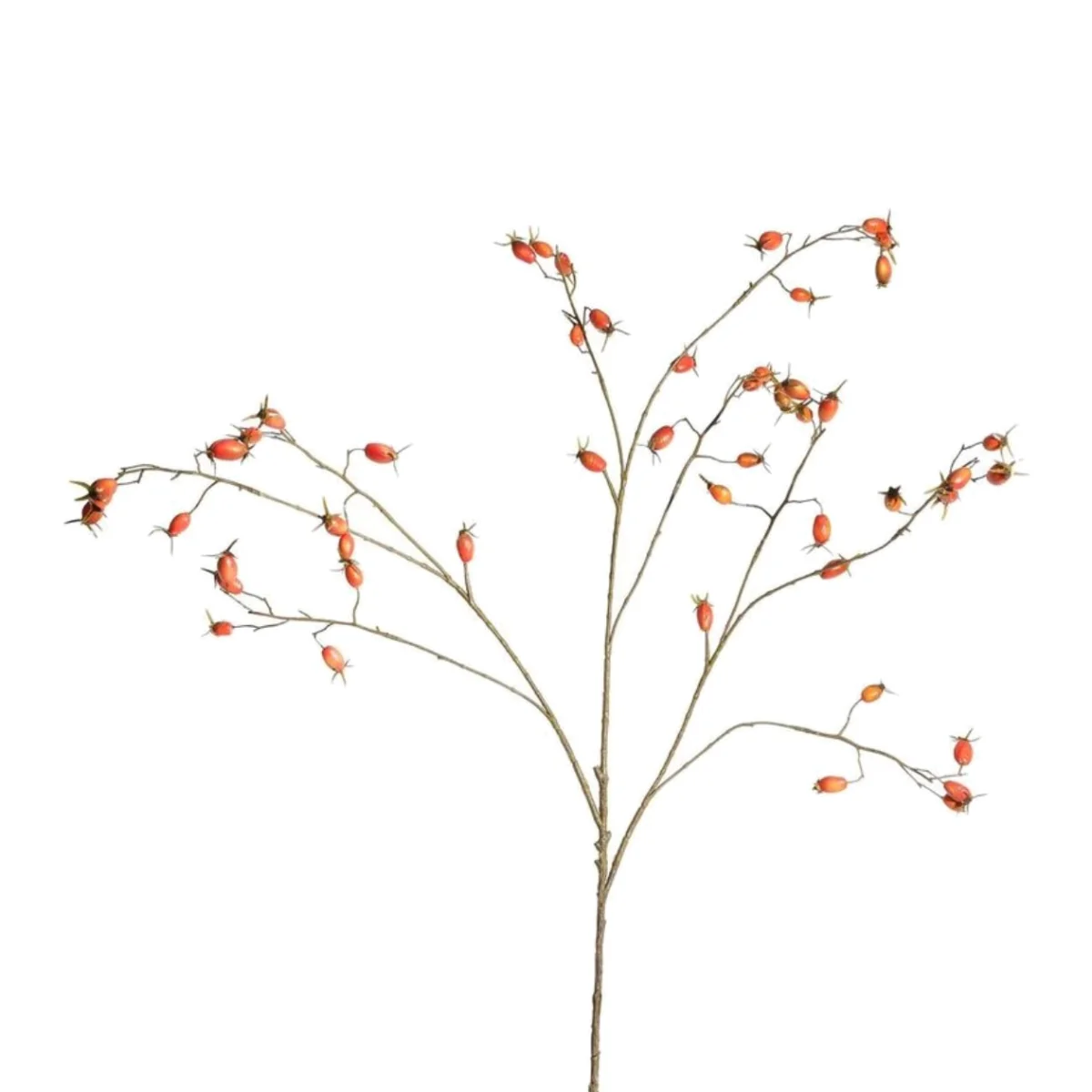 Botanica Rose Hip Branch Orange - Orange