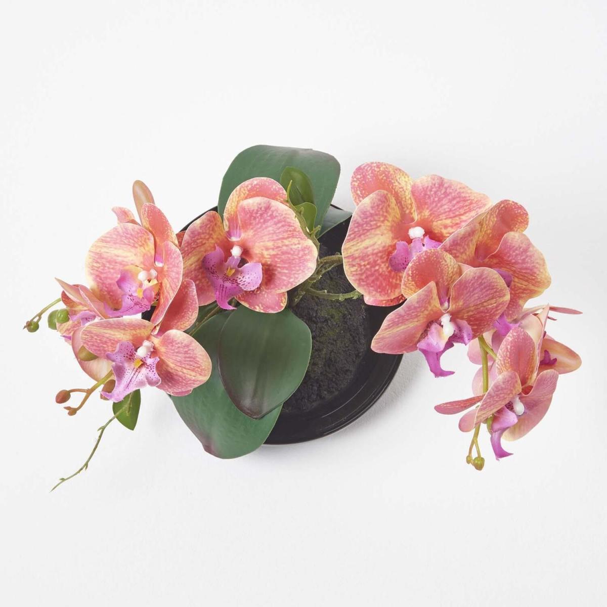 Homescapes 32cm Lifelike Artificial Orange Orchid Black Ceramic Bowl - Orange – image 3