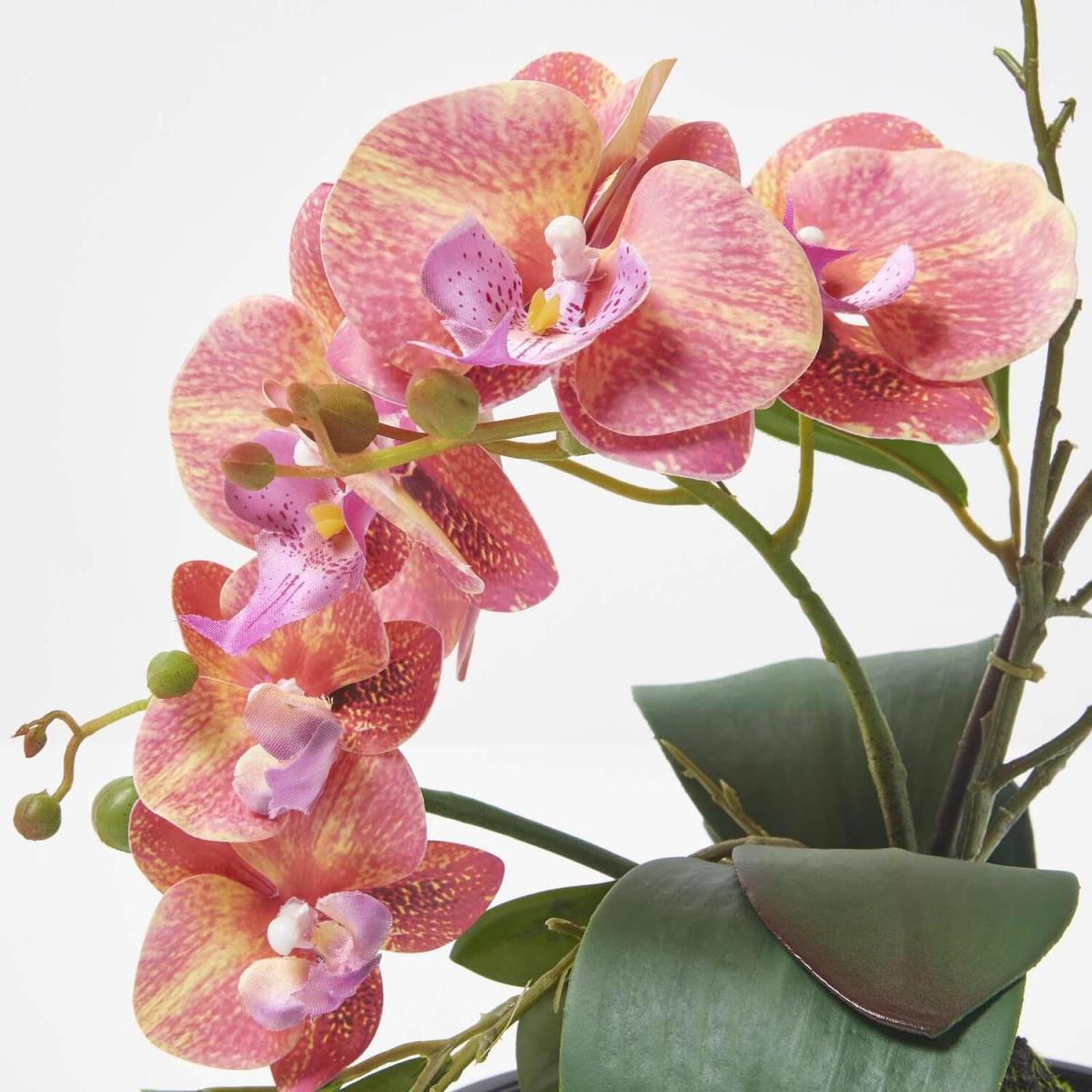 Homescapes 32cm Lifelike Artificial Orange Orchid Black Ceramic Bowl - Orange – image 5