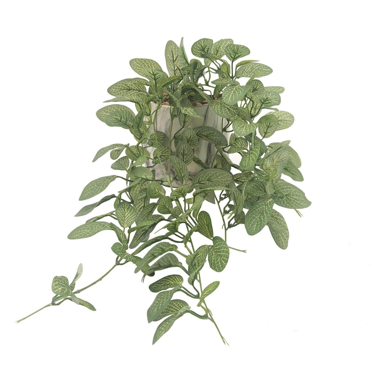Trailing Ivy in Marble Pot – image 2