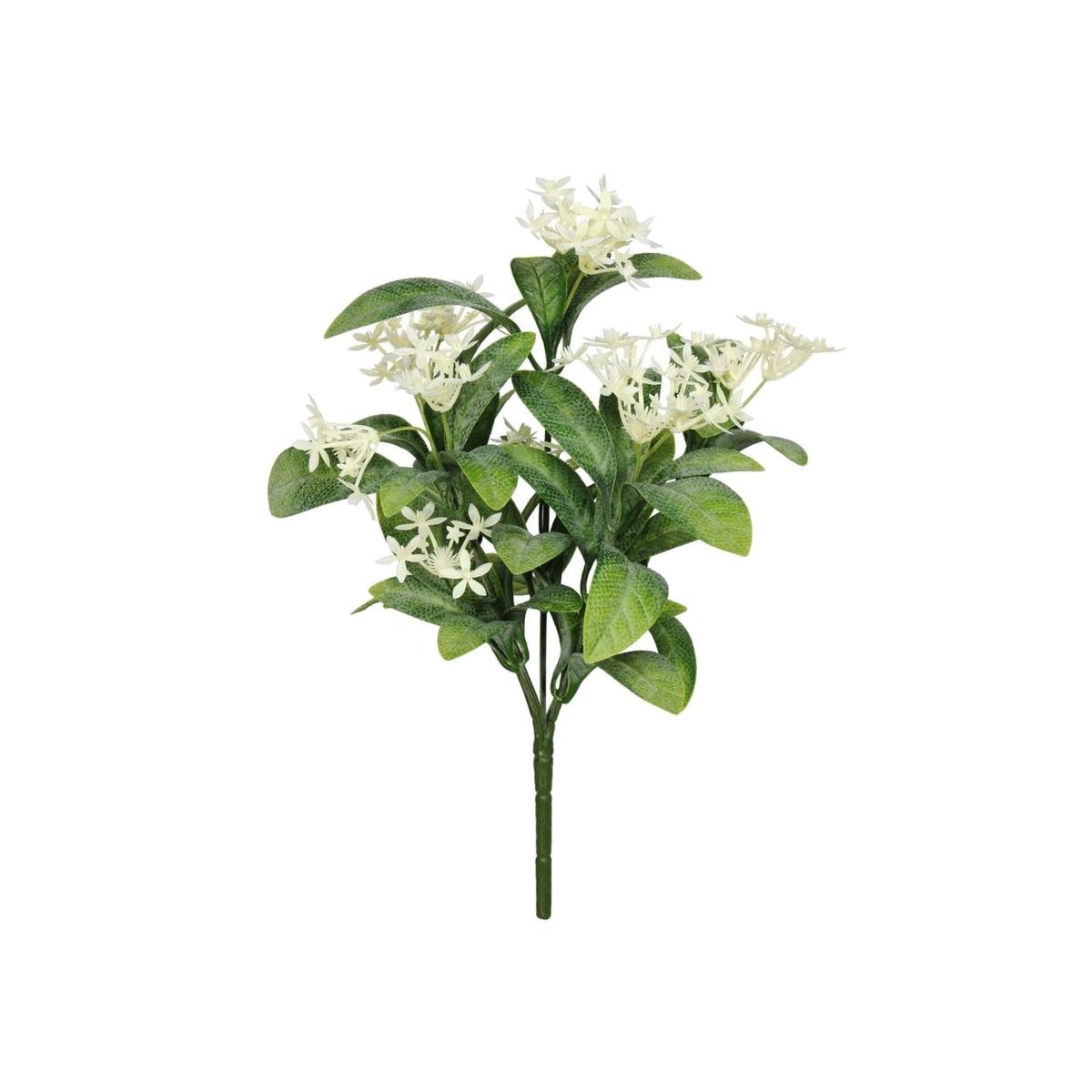 UV Indoor, Outdoor Everlast Star Flower Plant - Green