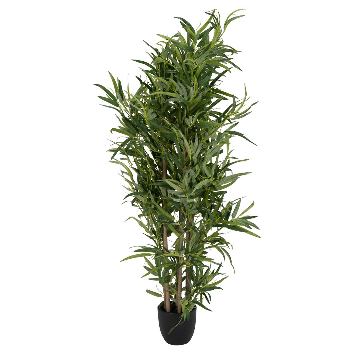 Bamboo Tree – image 2