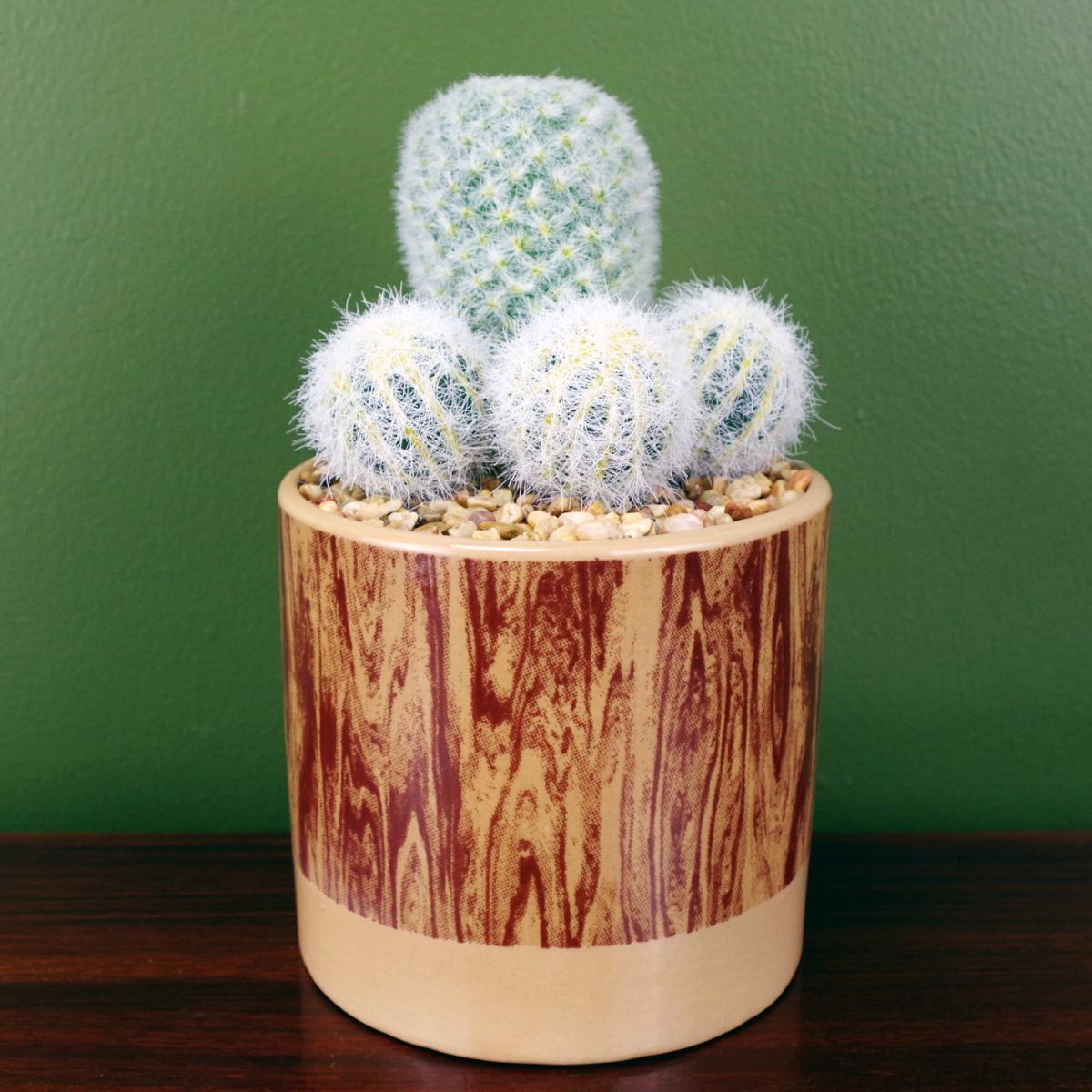 Artificial Cactus Plant Arrangement in Ceramic Planter - Green