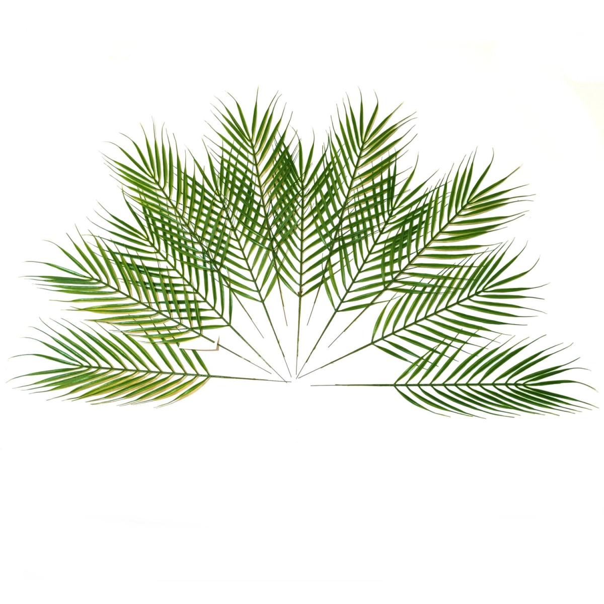 Pack of 12 Artificial Palm Leaves - Green – image 2