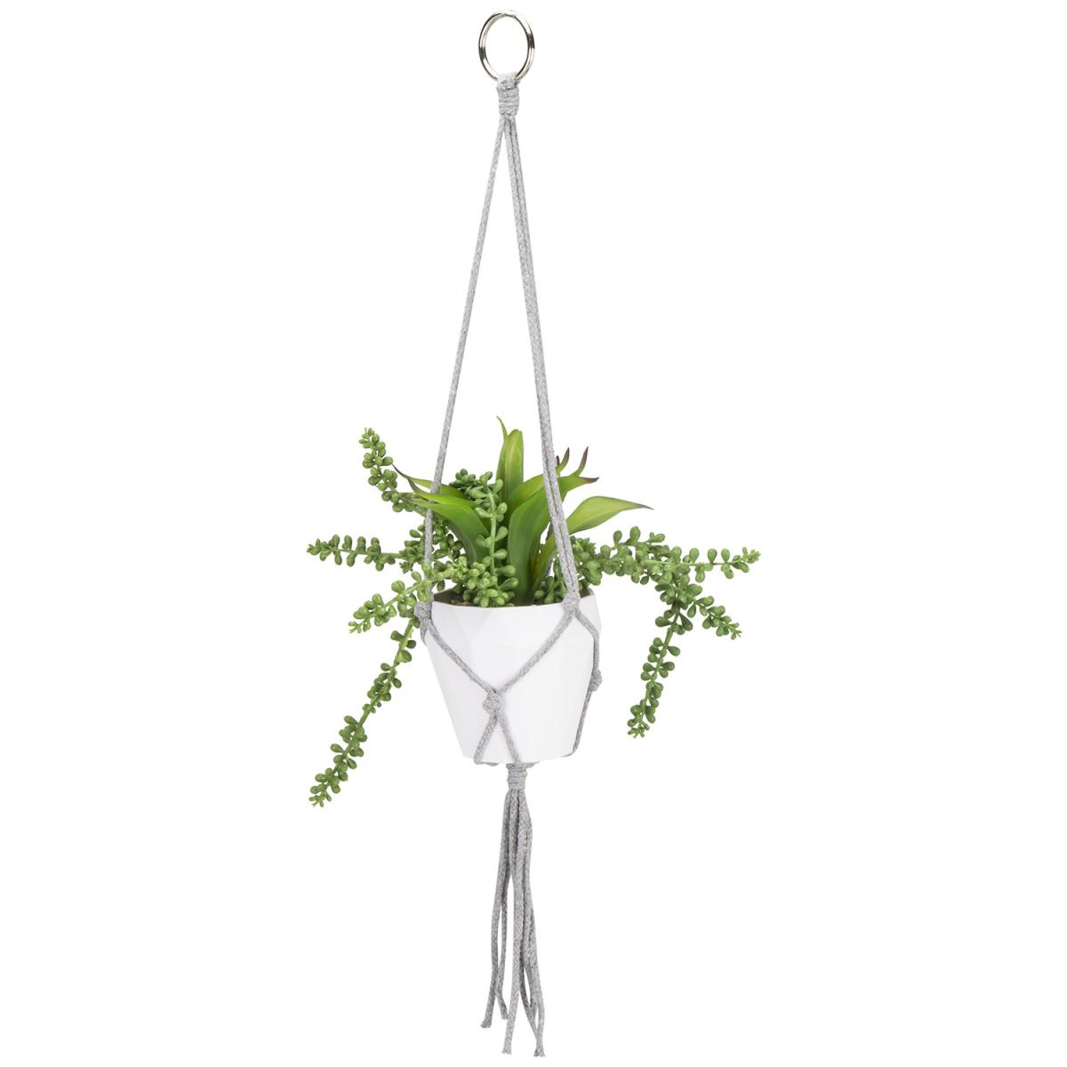 Mini Hanging Aloe Plant – image 2