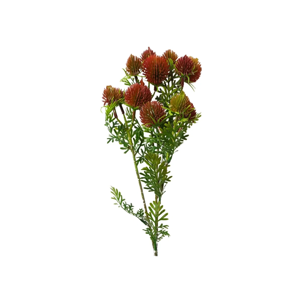 Artificial Red Craspedia Flower Stem 55cm - Red – image 1