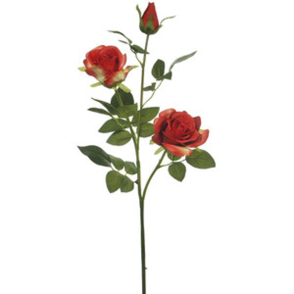 Serenity Rose - Red – image 2