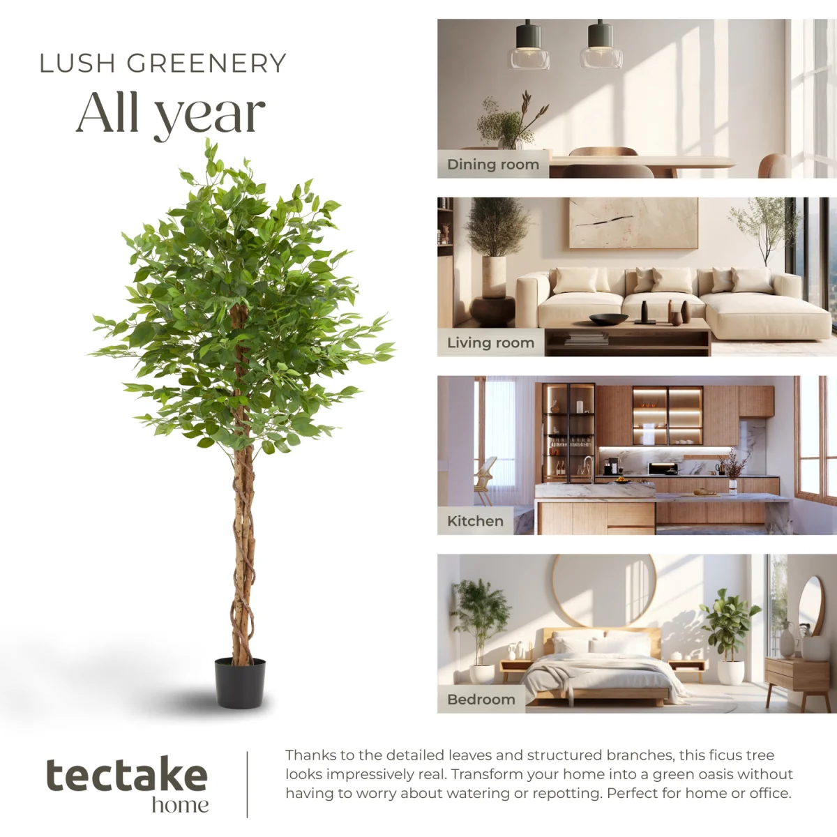 Artificial Plant - Detailed And Lifelike, Ficus Tree, Low-Maintenance - Green / 180cm – image 3