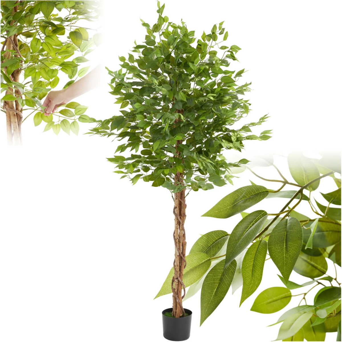 Artificial Plant - Detailed And Lifelike, Ficus Tree, Low-Maintenance - Green / 180cm – image 6