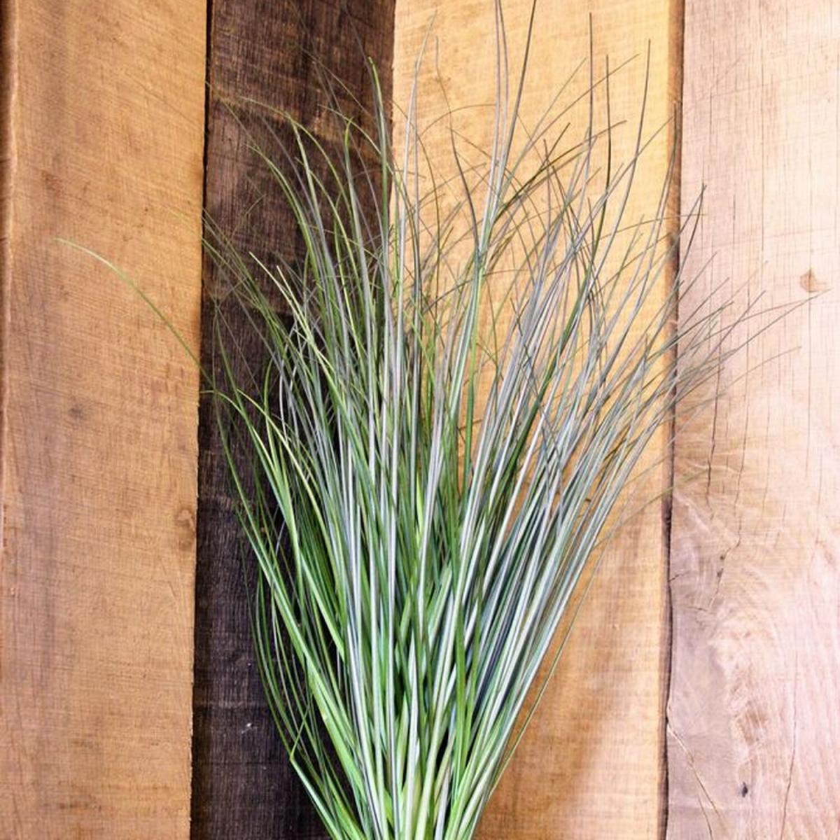 Artificial PVC Tall Grass Bush 68 cm - Green – image 2