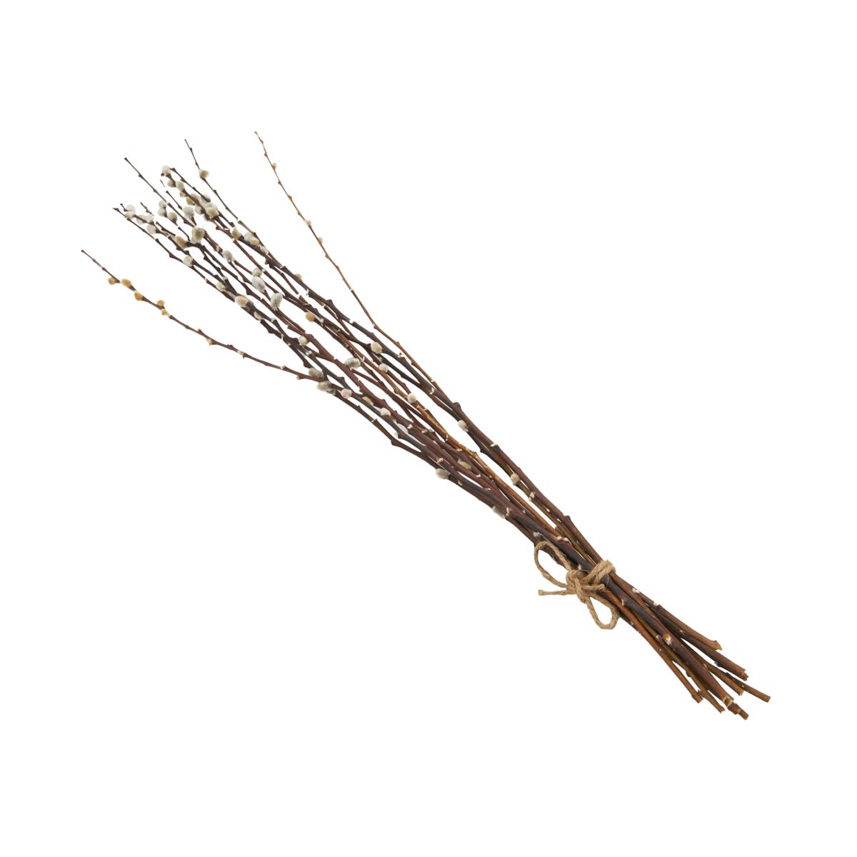 Pussywillow Bouquet - Natural