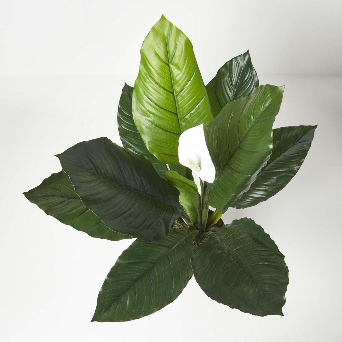 Homescapes Artificial Peace Lily Plant In Pot 90 cm Tall Spathe Flower - White – image 3