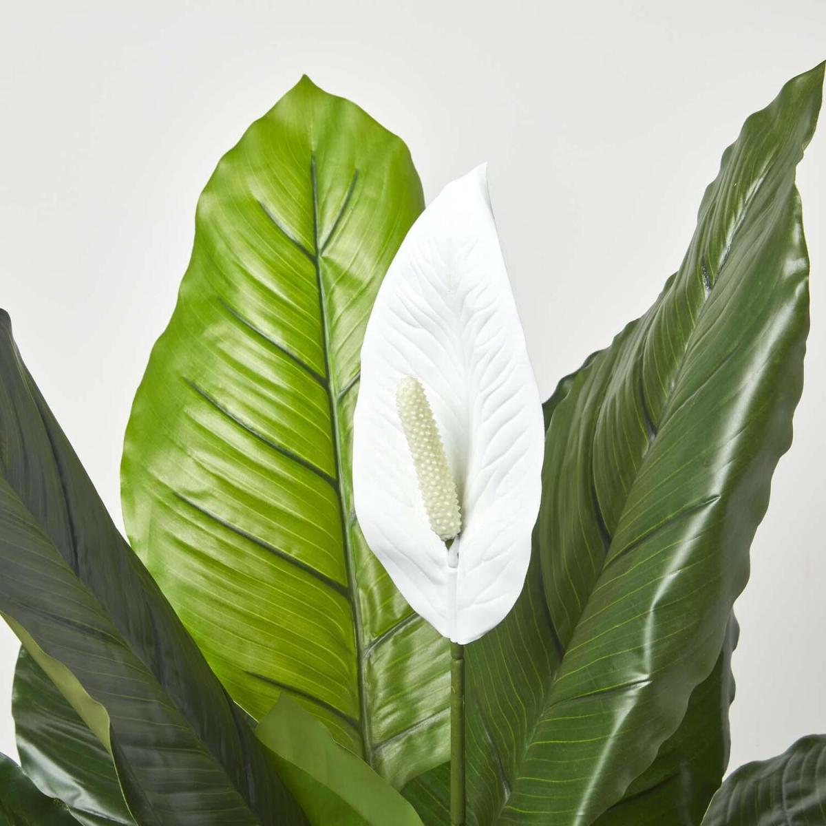 Homescapes Artificial Peace Lily Plant In Pot 90 cm Tall Spathe Flower - White – image 5