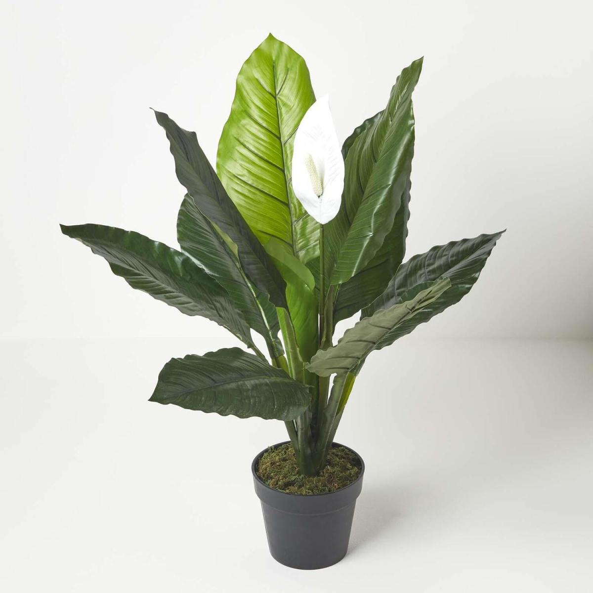 Homescapes Artificial Peace Lily Plant In Pot 90 cm Tall Spathe Flower - White – image 1