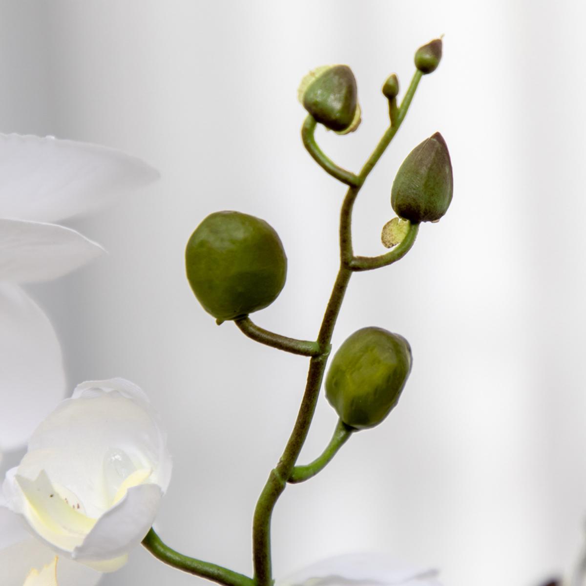 Artificial Flowers Orchid Phalaenopsis in Pot 75 cm for Home Decor - Green – image 4