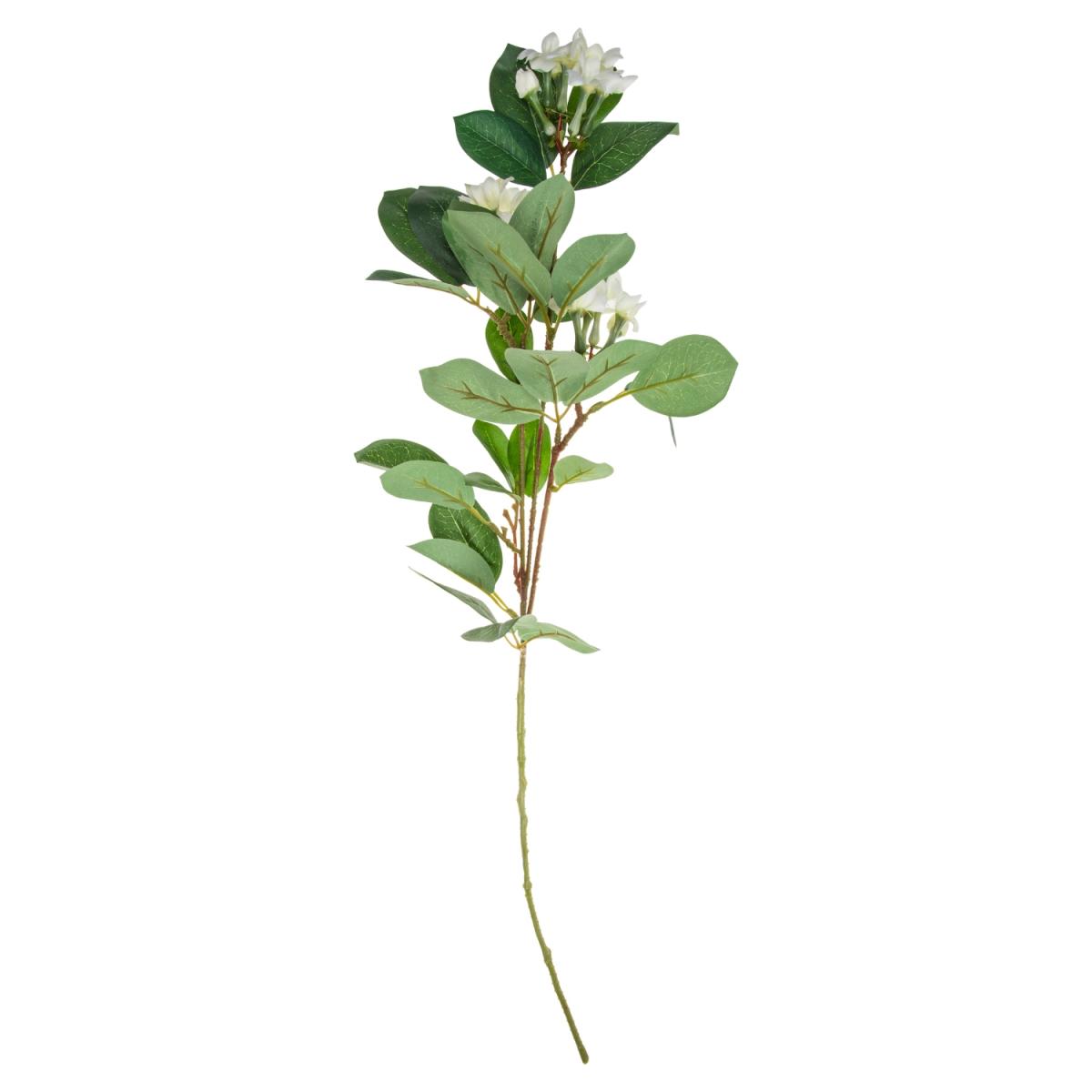 Stephanotis Stem - Green – image 2