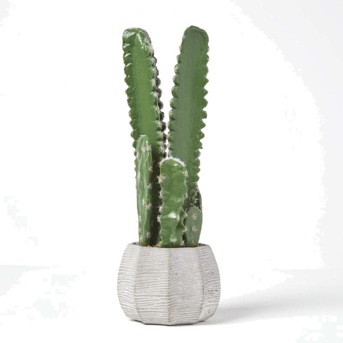 Homescapes Echinopsis Peruviana Artificial Cactus In Decorative Stone Pot - Green – image 1
