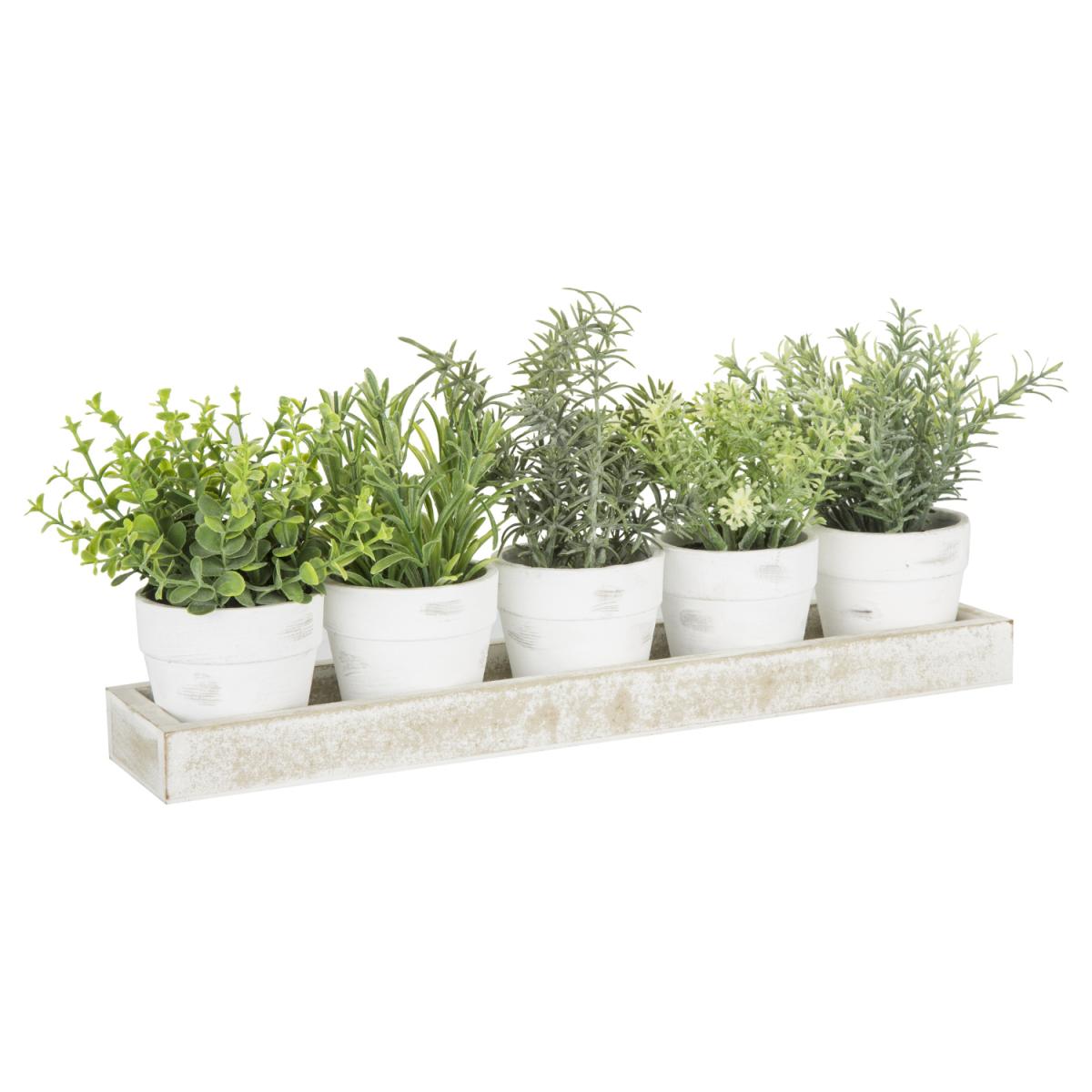 Mini Garden in Tray – image 2