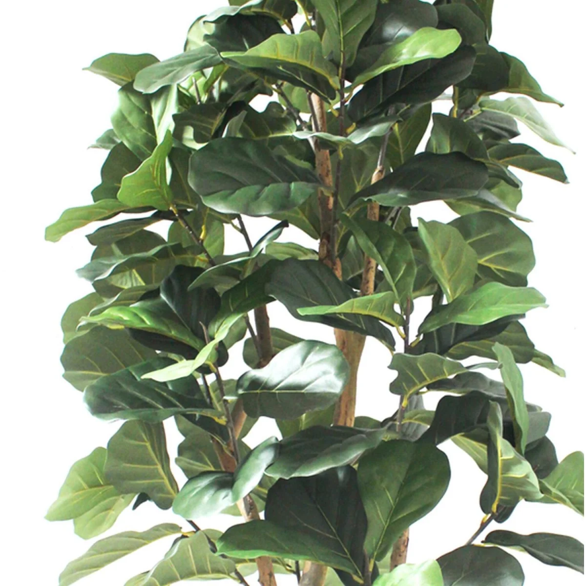 Leaf Design UK Artificial Plant Fiddle Fig Tree Plant Black Plastic Pot - 180cm Fiddle Fig Deluxe / 180cm / 60cm – image 3