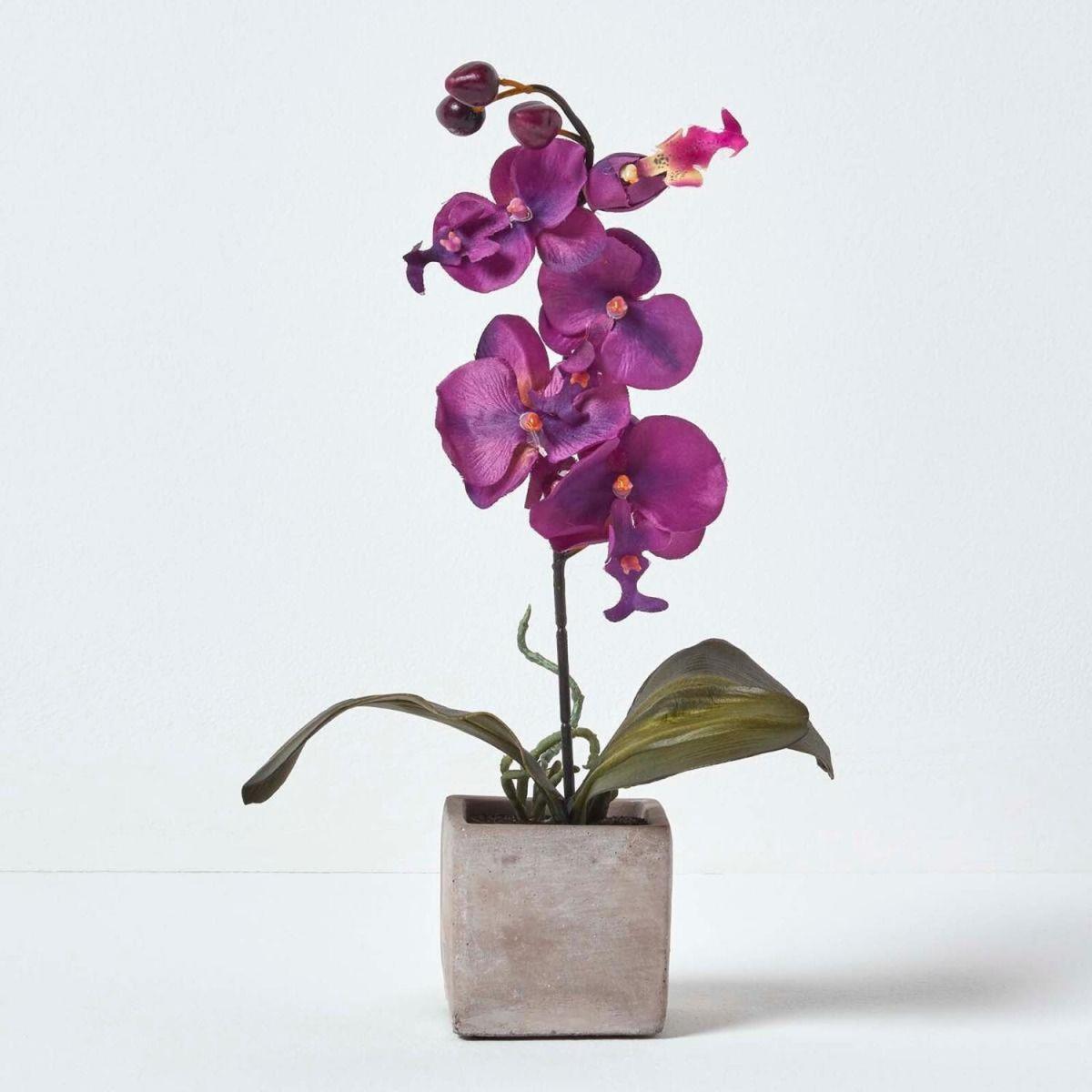 Homescapes Set of 2 Cerise Pink  White Artificial Orchids in Pots, 40 cm - Purple and White – image 2