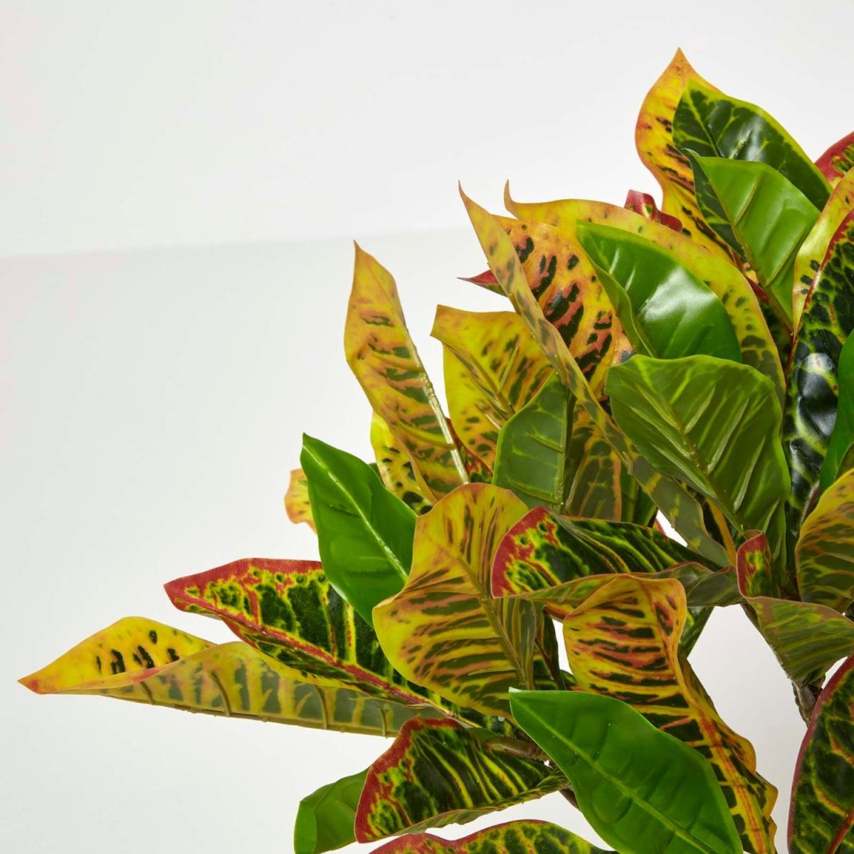 Homescapes Green 'Rushfoil' Artificial Croton Plant with Pot, 65 cm - Green – image 3