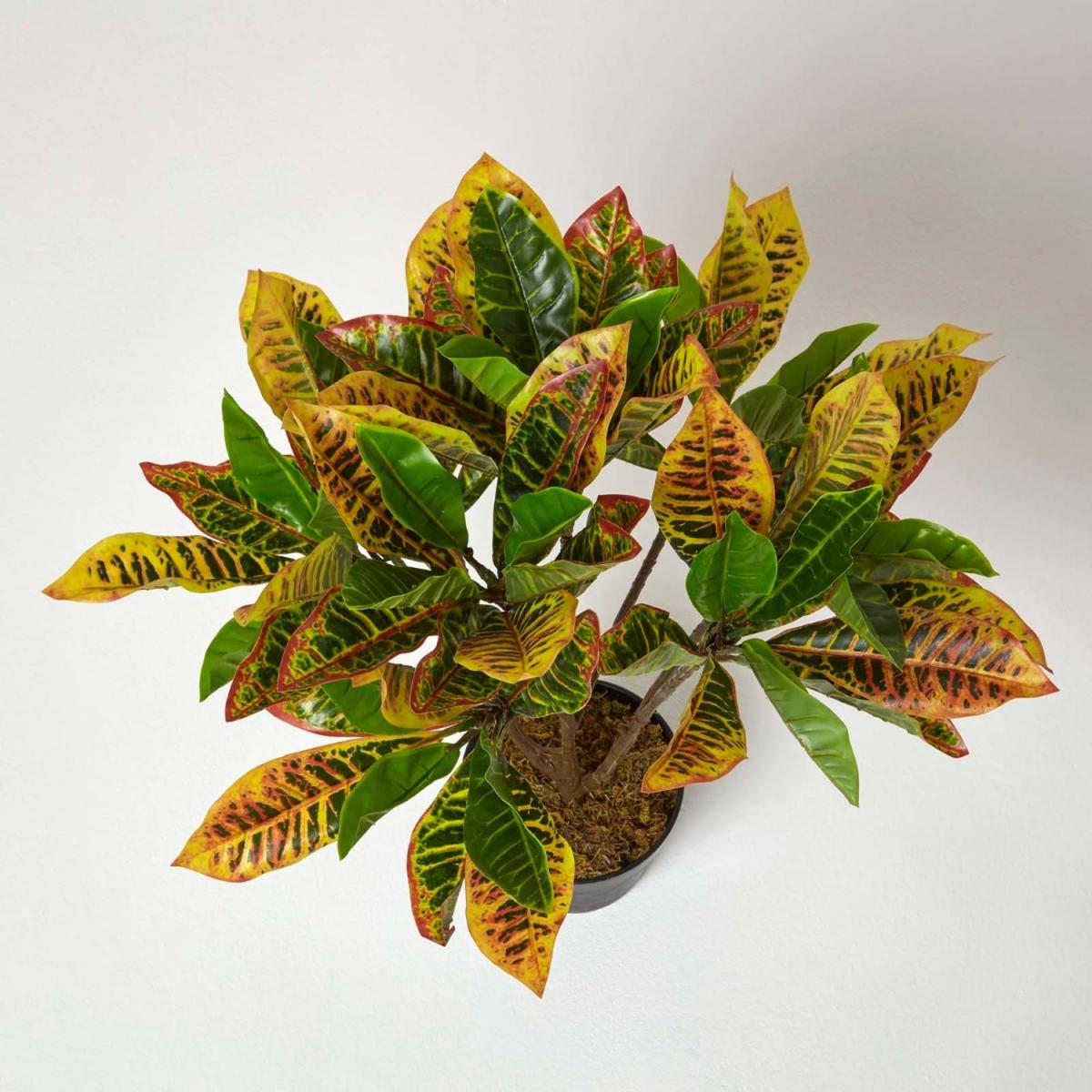 Homescapes Green 'Rushfoil' Artificial Croton Plant with Pot, 65 cm - Green – image 1