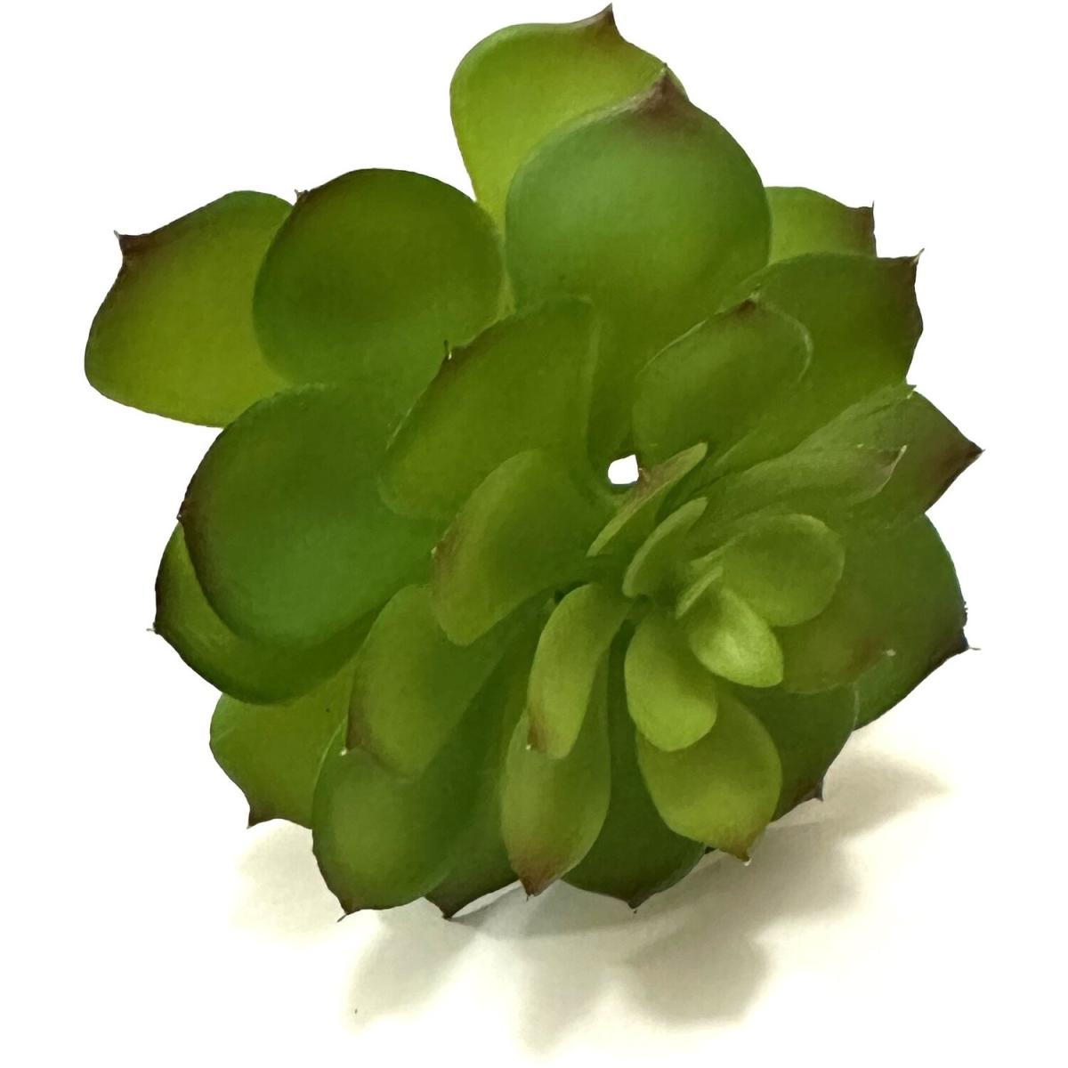 Artificial Sempervivum Succulent Plant Picks - Green – image 2