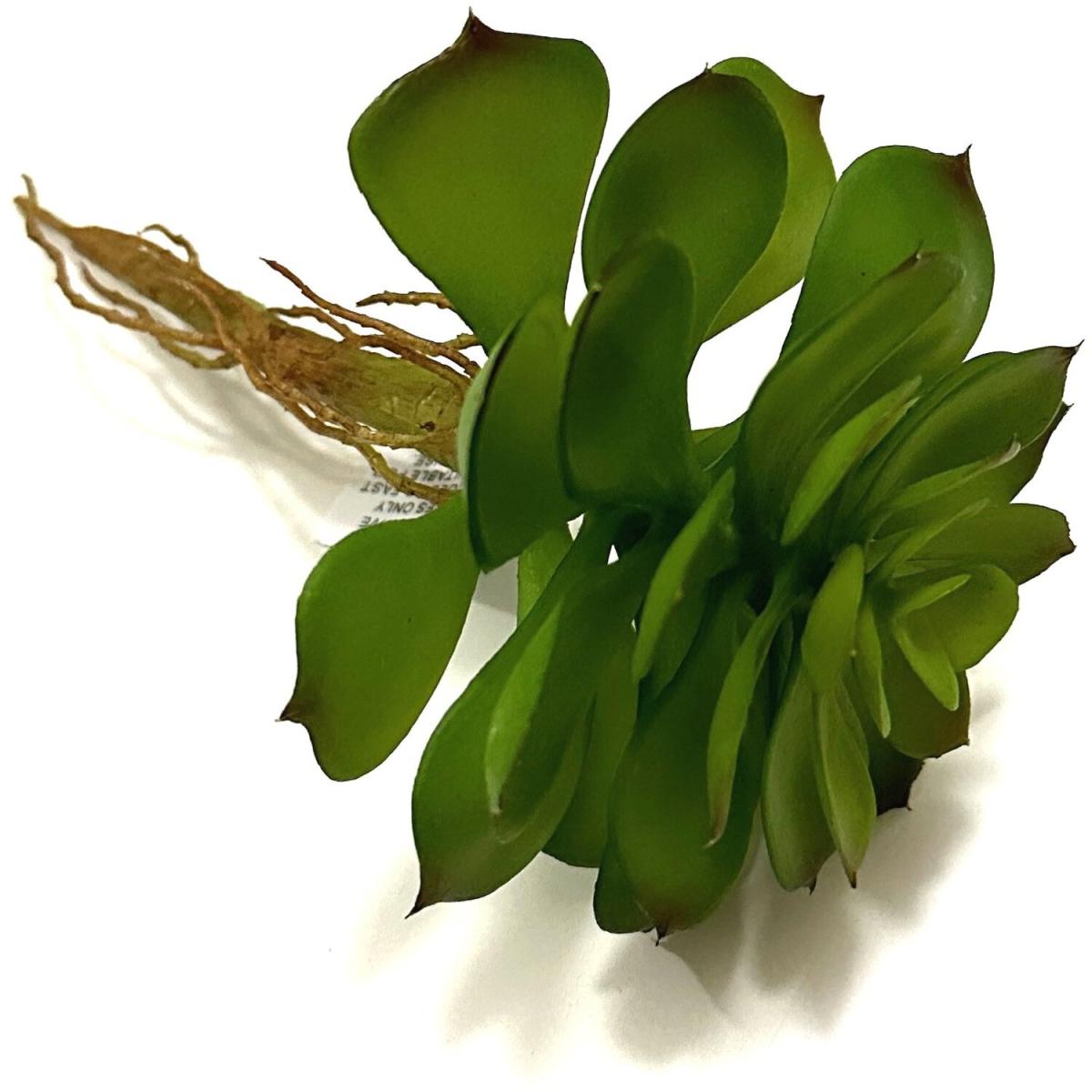 Artificial Sempervivum Succulent Plant Picks - Green – image 3