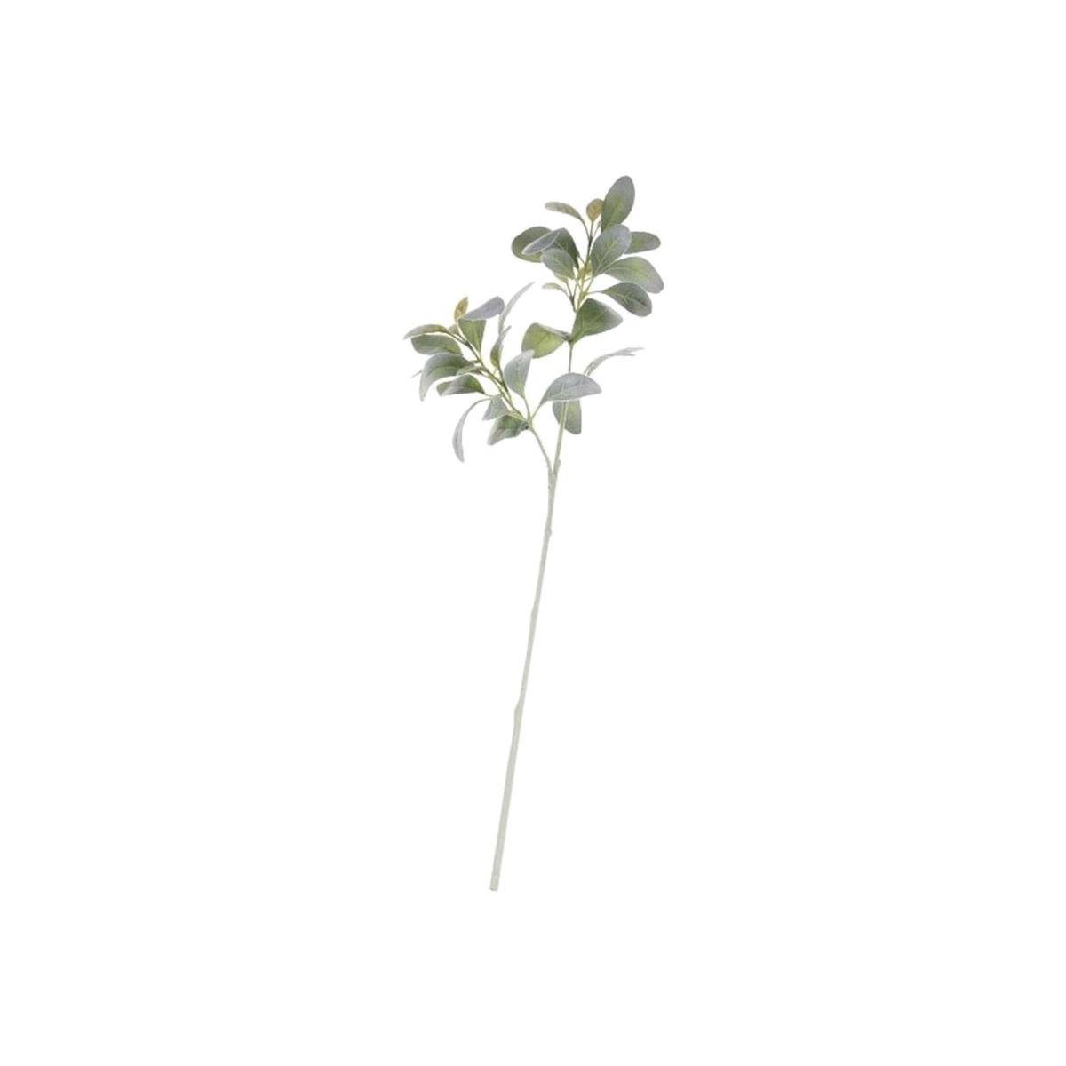 Artificial Lambs Ear 70cm - Green