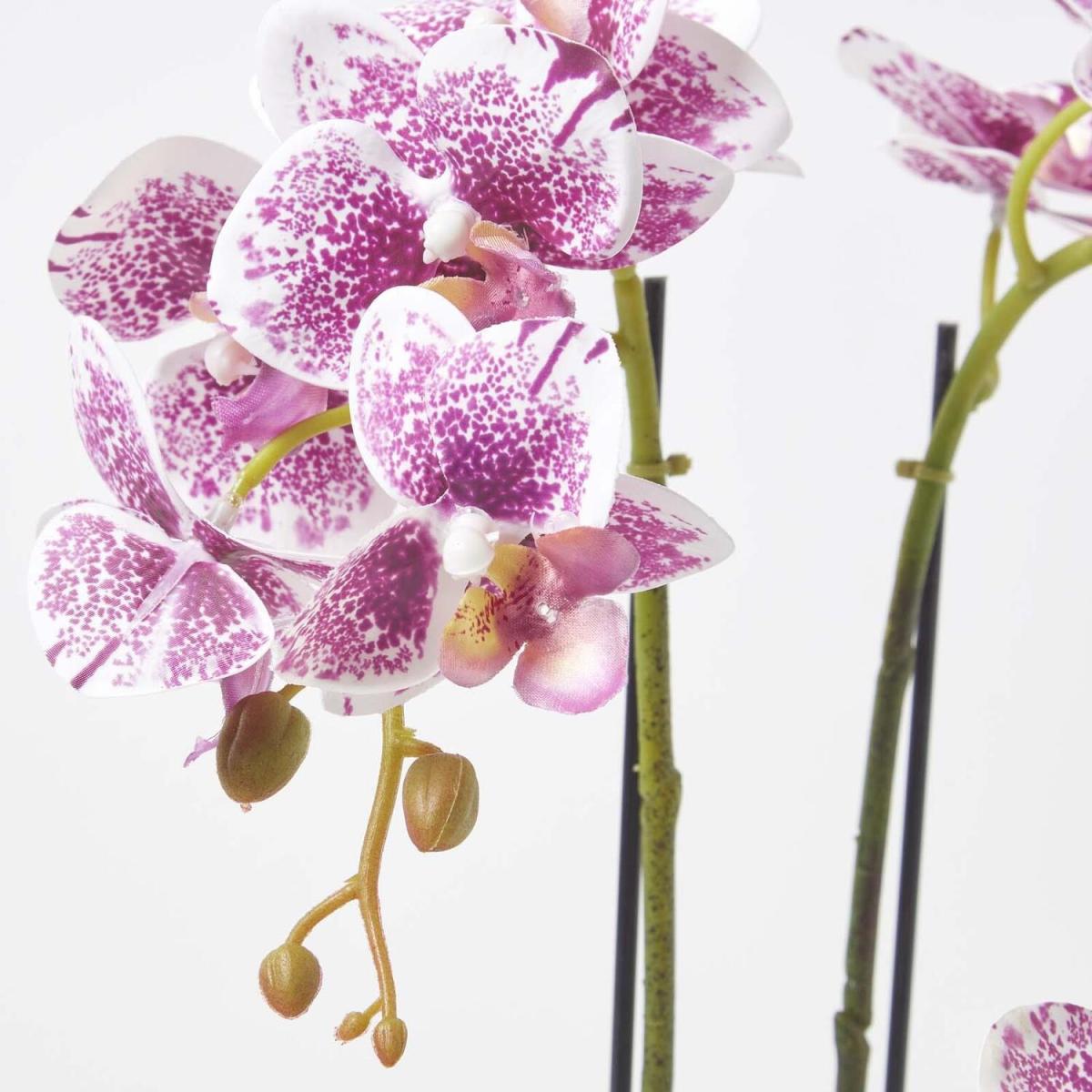 Homescapes Pink 50cm Lifelike Artificial Orchid in Grey Cement Pot - Pink – image 3