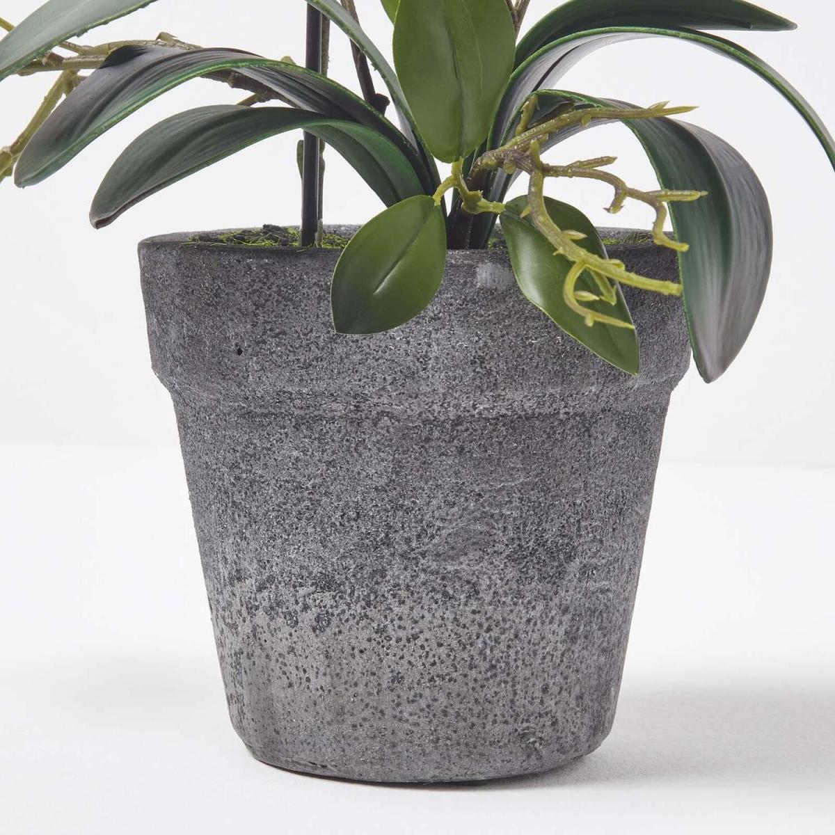 Homescapes Pink 50cm Lifelike Artificial Orchid in Grey Cement Pot - Pink – image 4