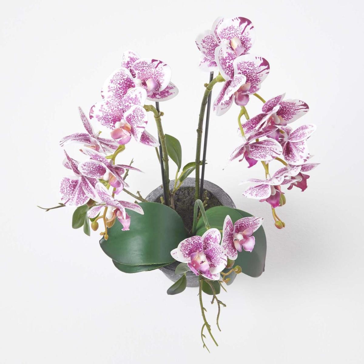 Homescapes Pink 50cm Lifelike Artificial Orchid in Grey Cement Pot - Pink – image 5
